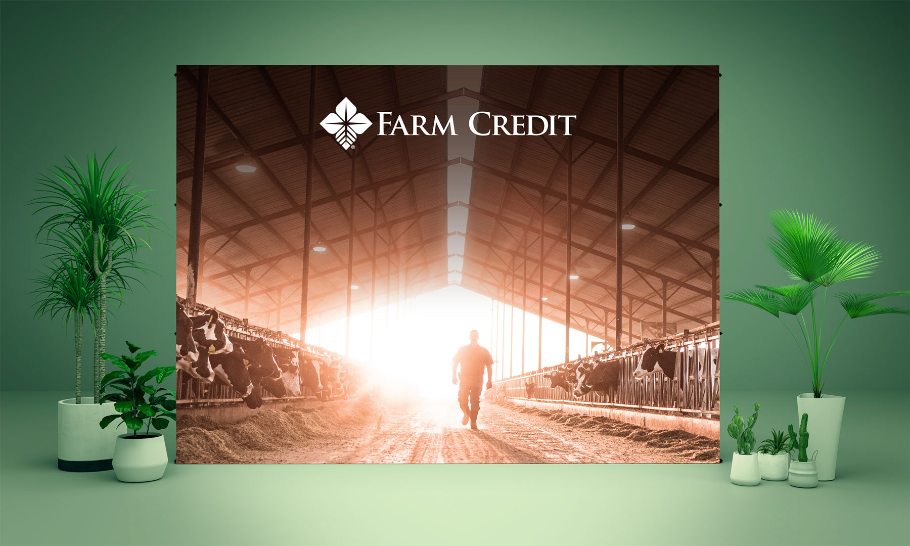 Expandable wall of farmer in a diary farm walking into the sunlight