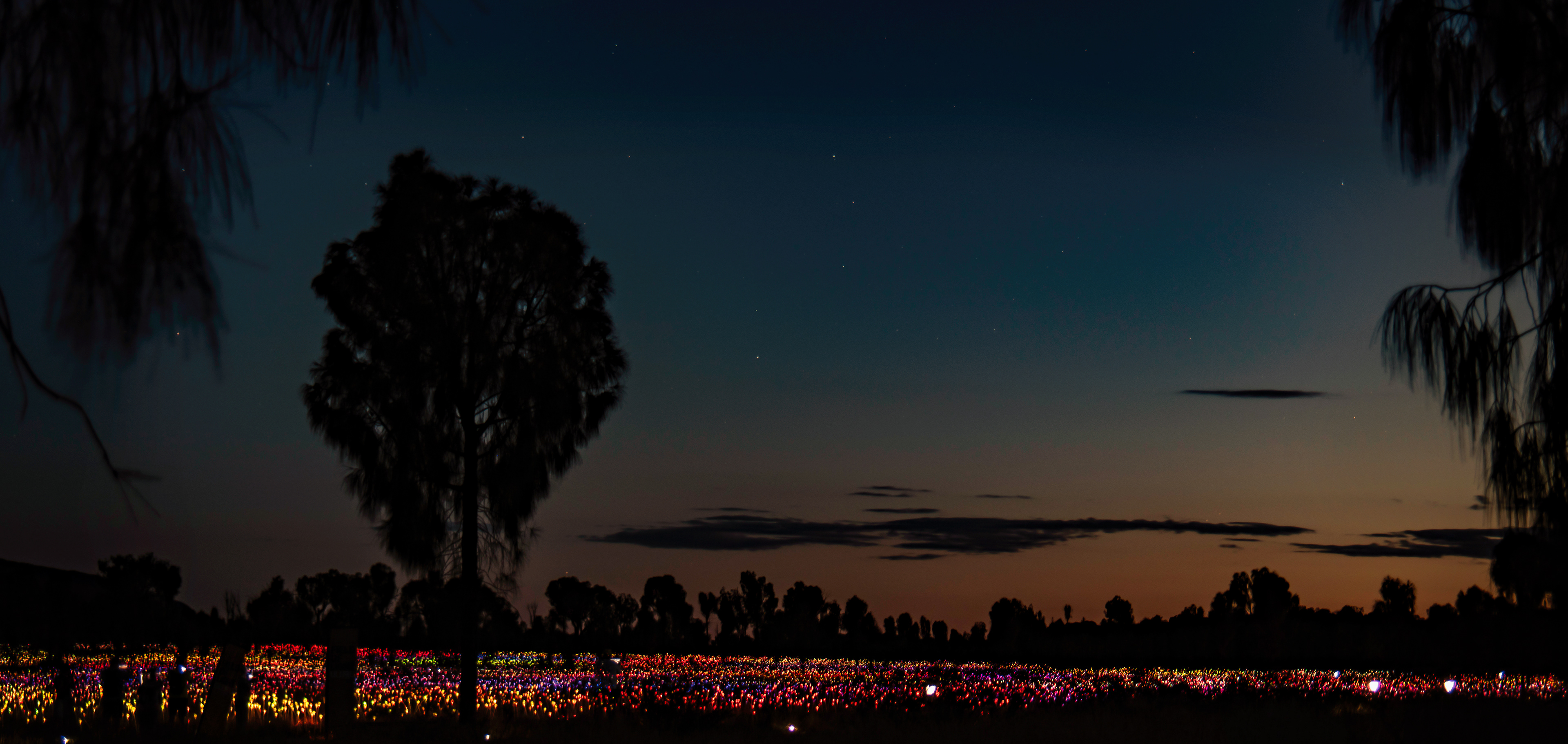 Field of Lights - Ularu.