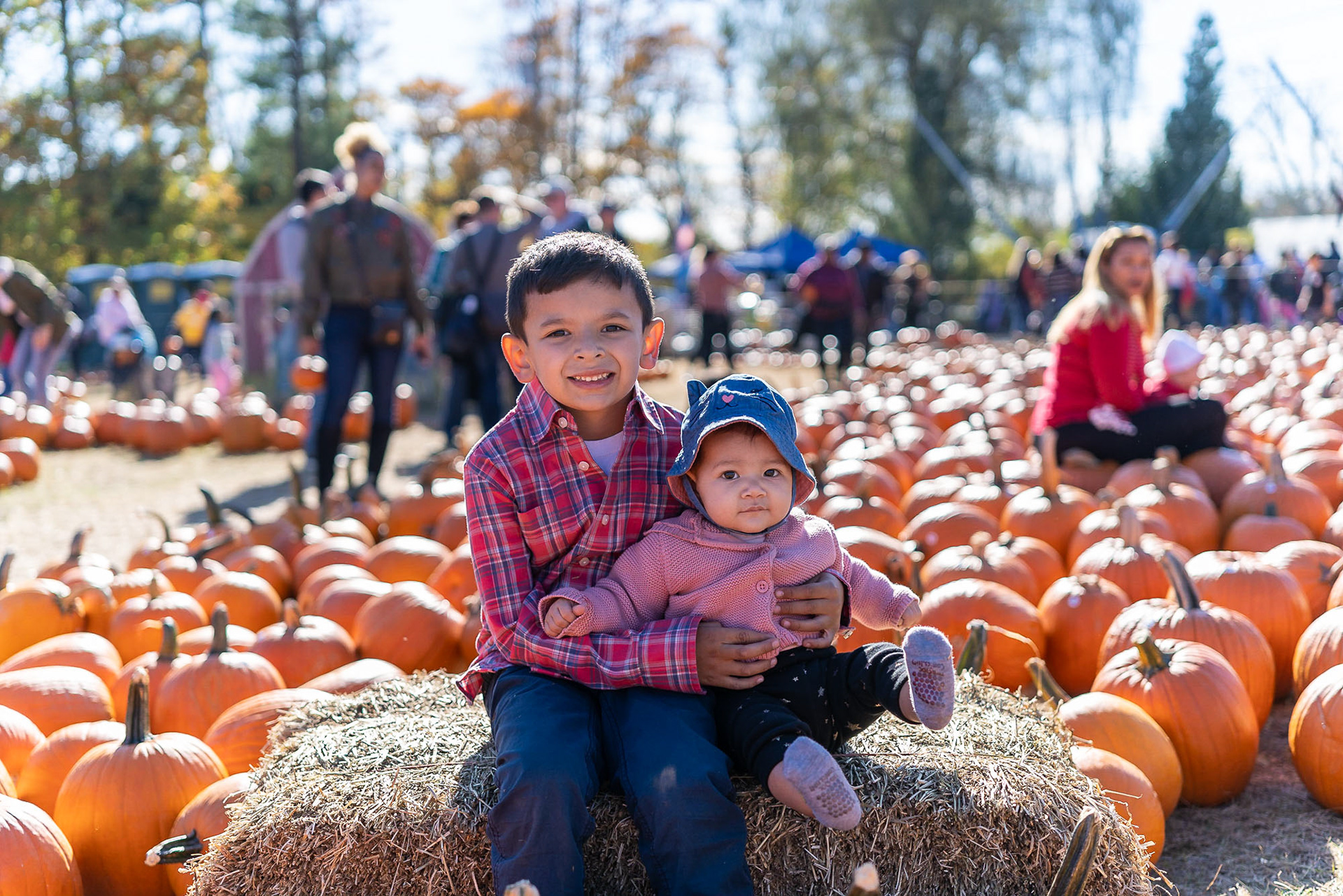 Pumpkin Patch