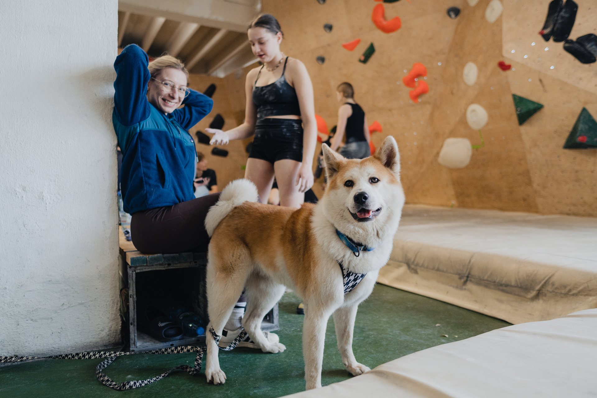 CLIMB LIFE BALANCE / United Climbing 20.04.2024
