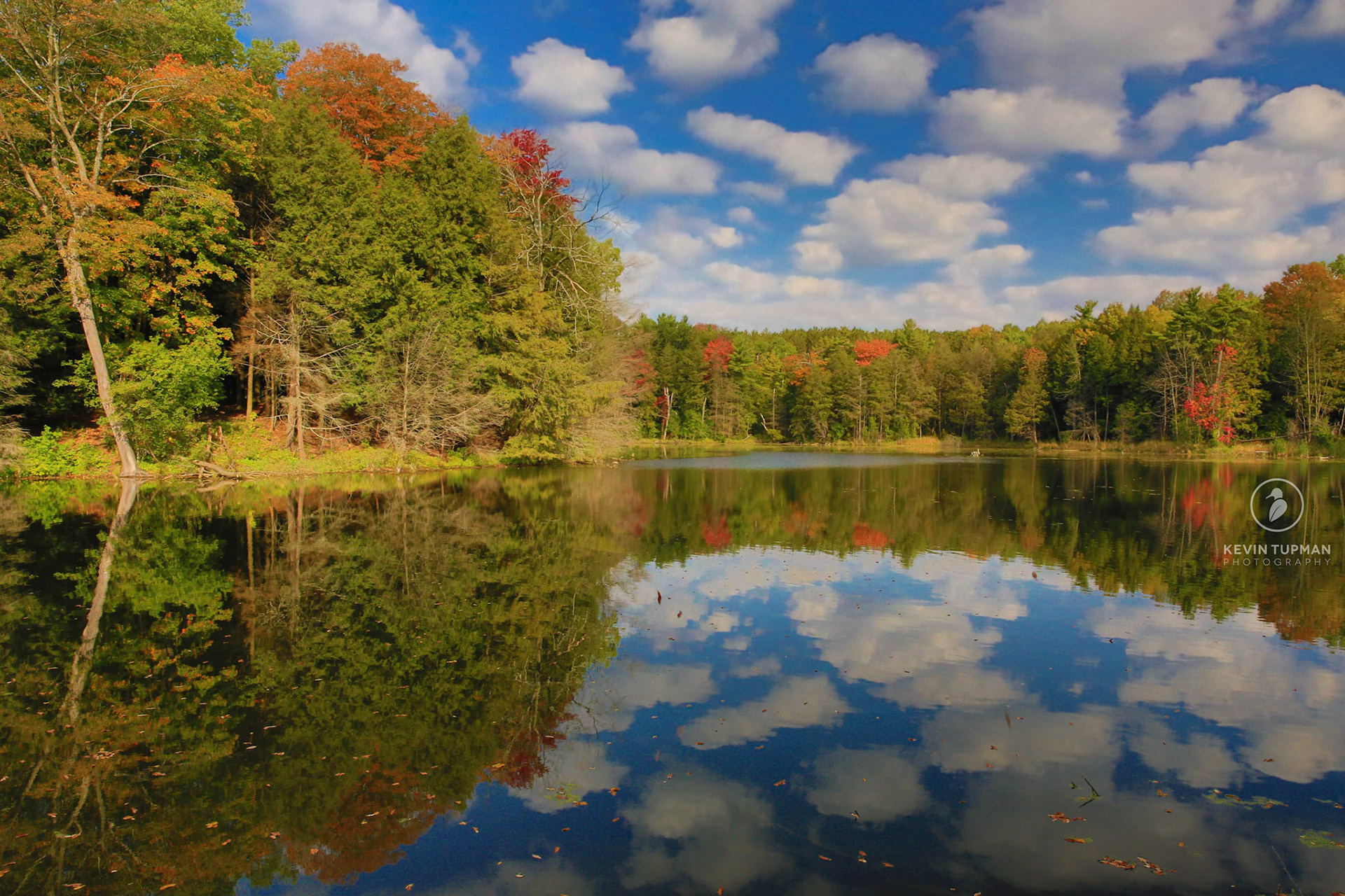 Huron Natural Area, Kitchener