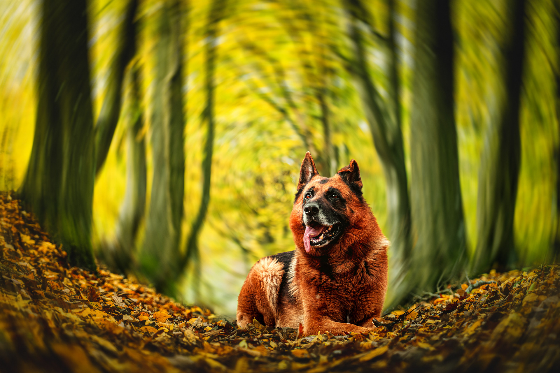 Lightroom edit + Photoshop edit (Backgroun blur)