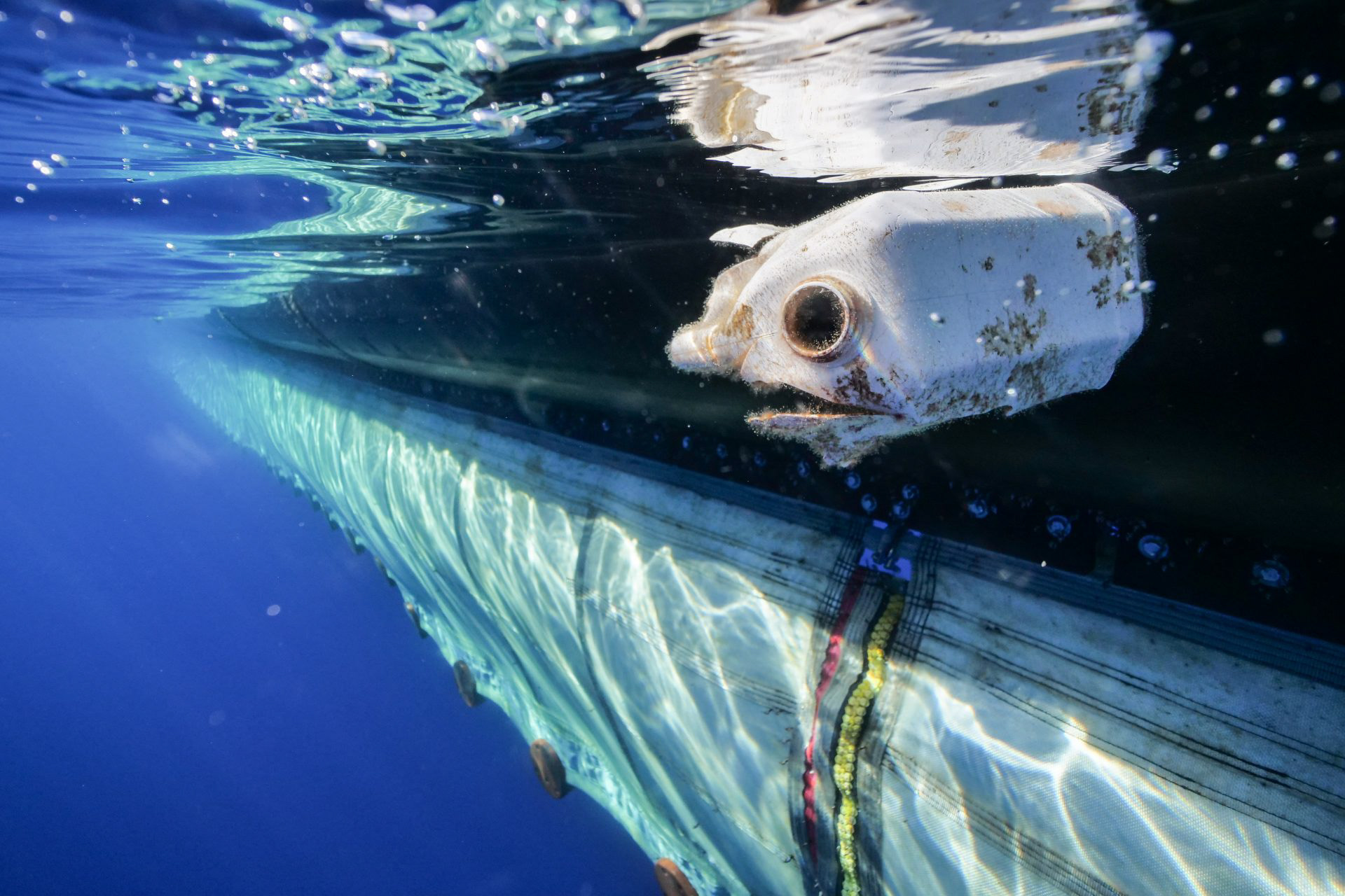 Photo credit: The Ocean Cleanup