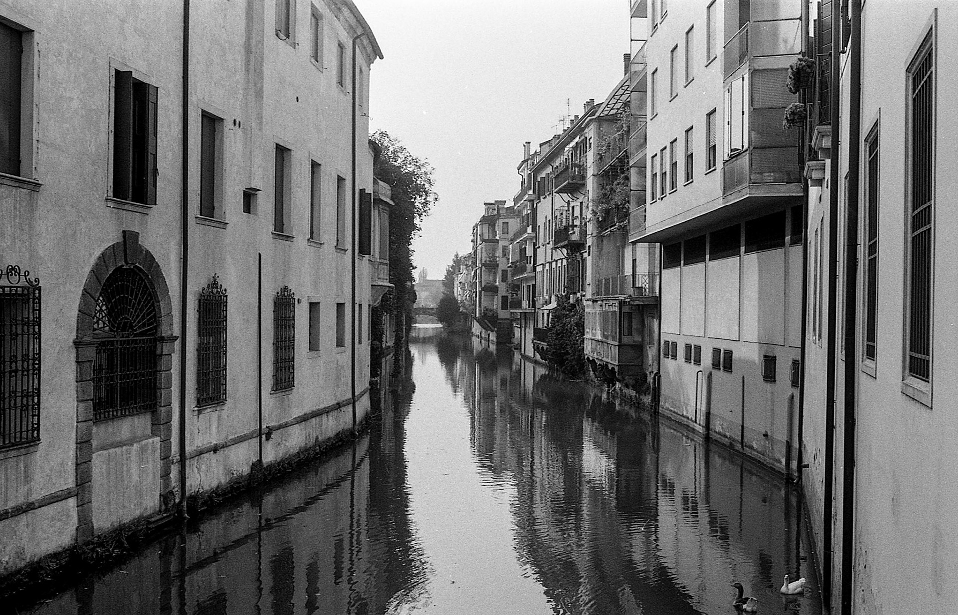 River in Padova
