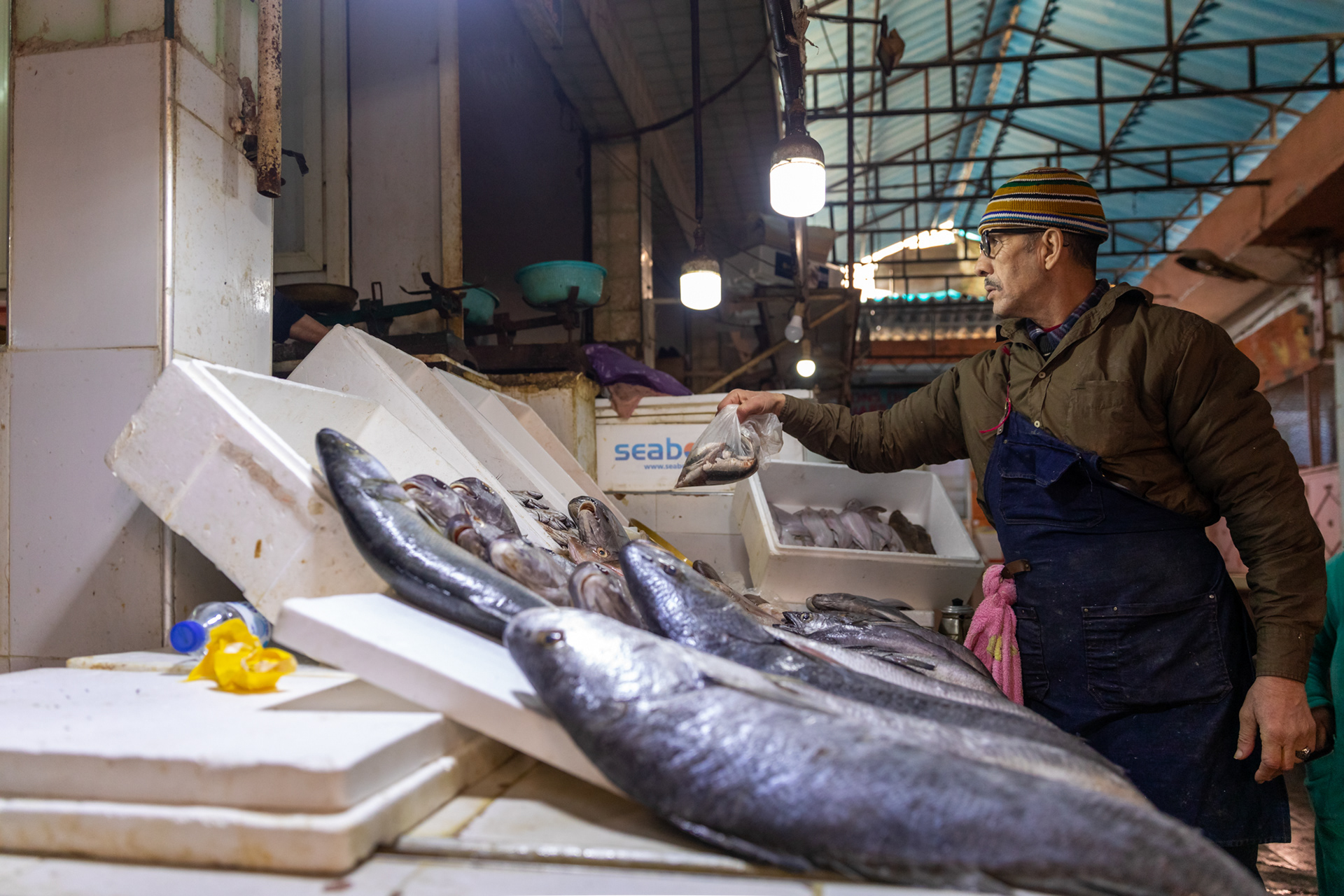 Daily Purchase of fish in the market, Marrakech