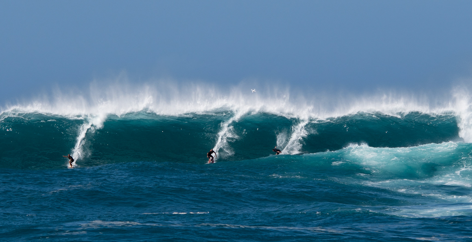 Party Wave "Waimea Bay"