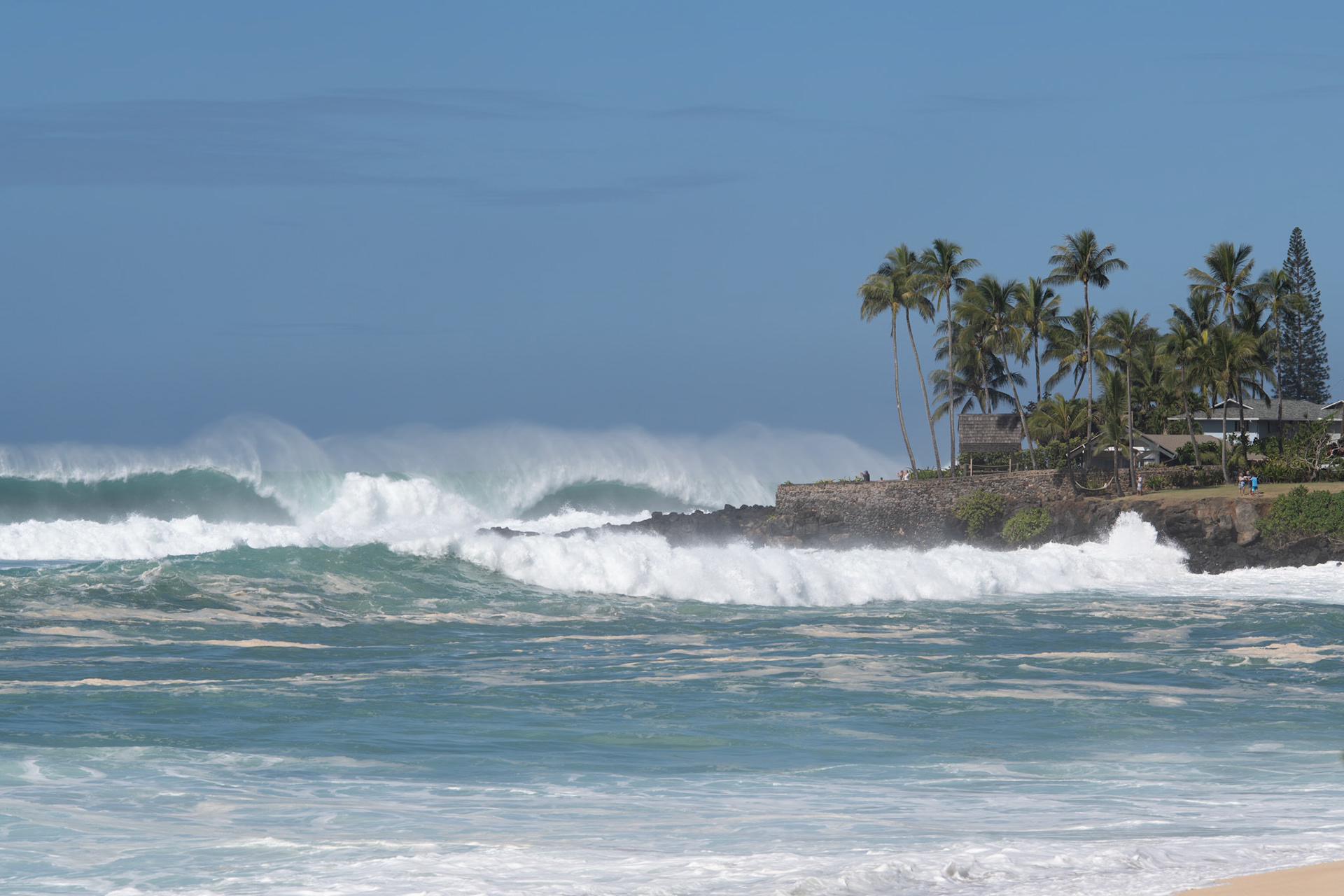 "Waimea Bay"