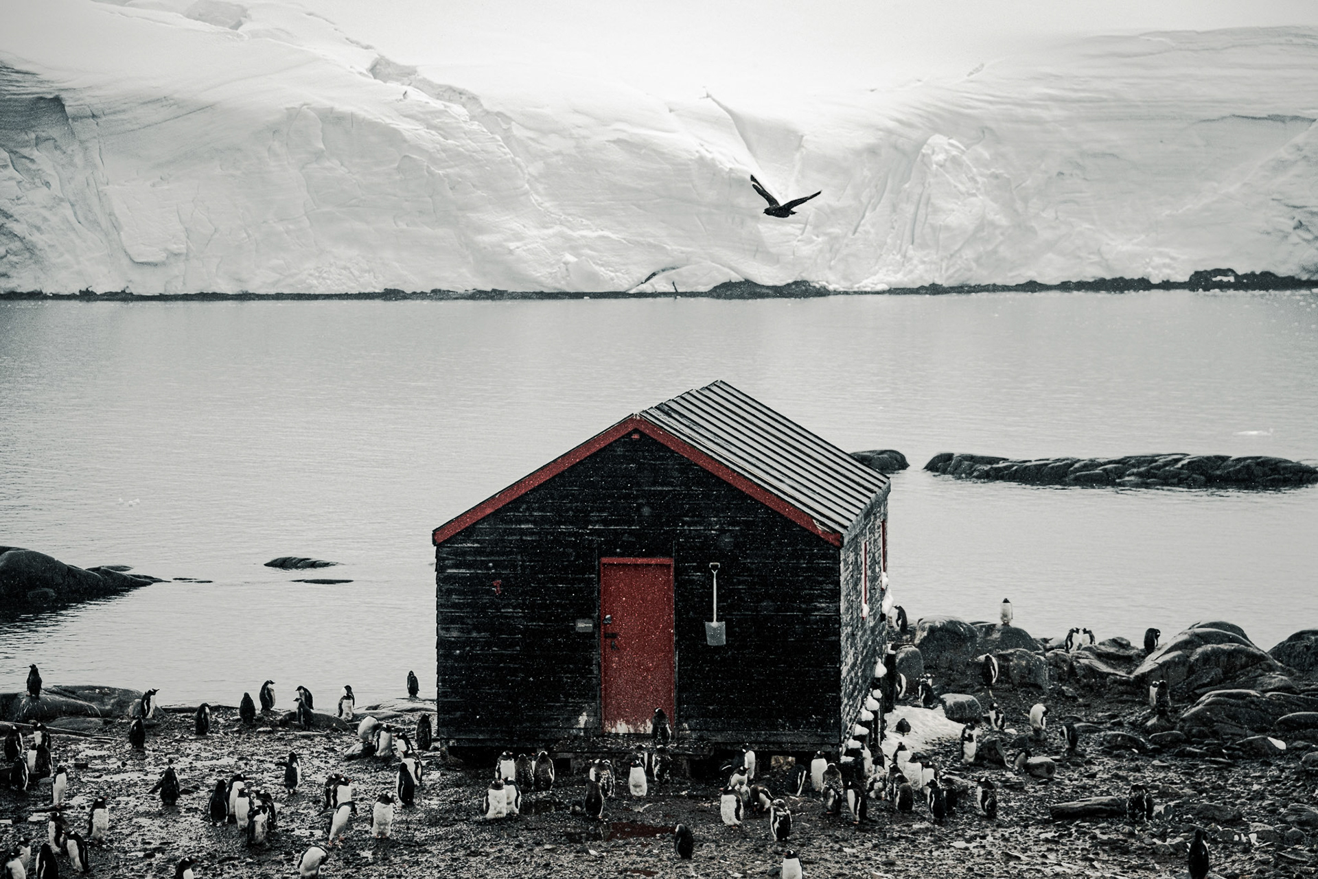 Port Lockroy