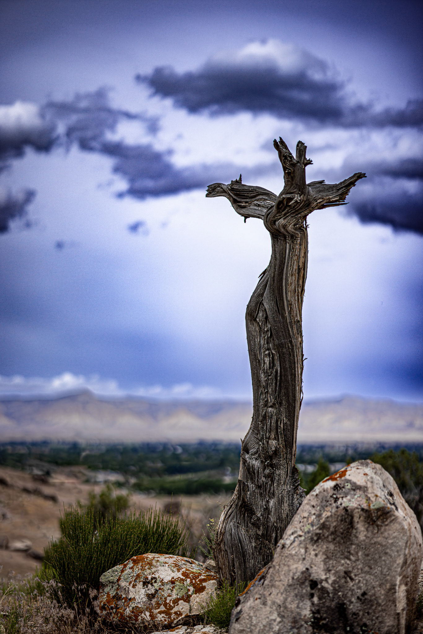 Natural Cross of Fruita