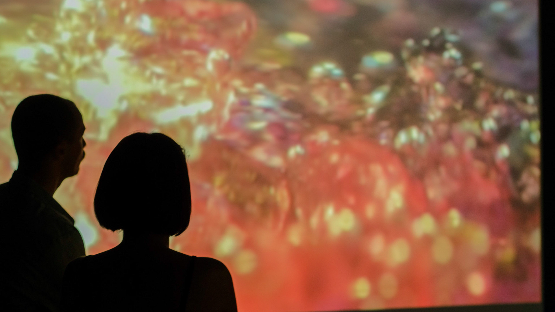 Audience in the Exhibition Museum of Image and Sound/MS - April, 2014. Photo by Everson Tavares
