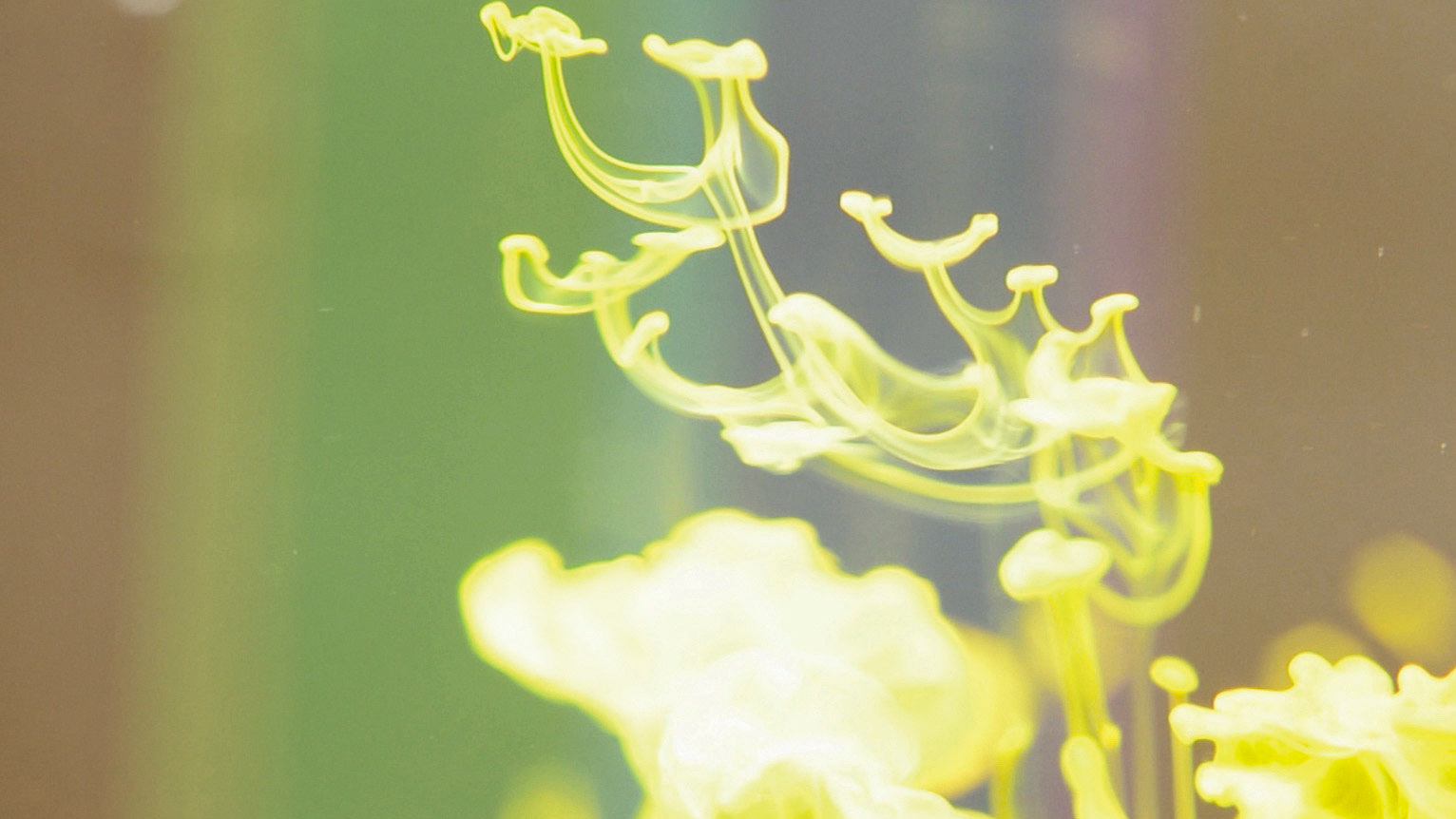 Pigments reacting into water - View 1 Print screen 