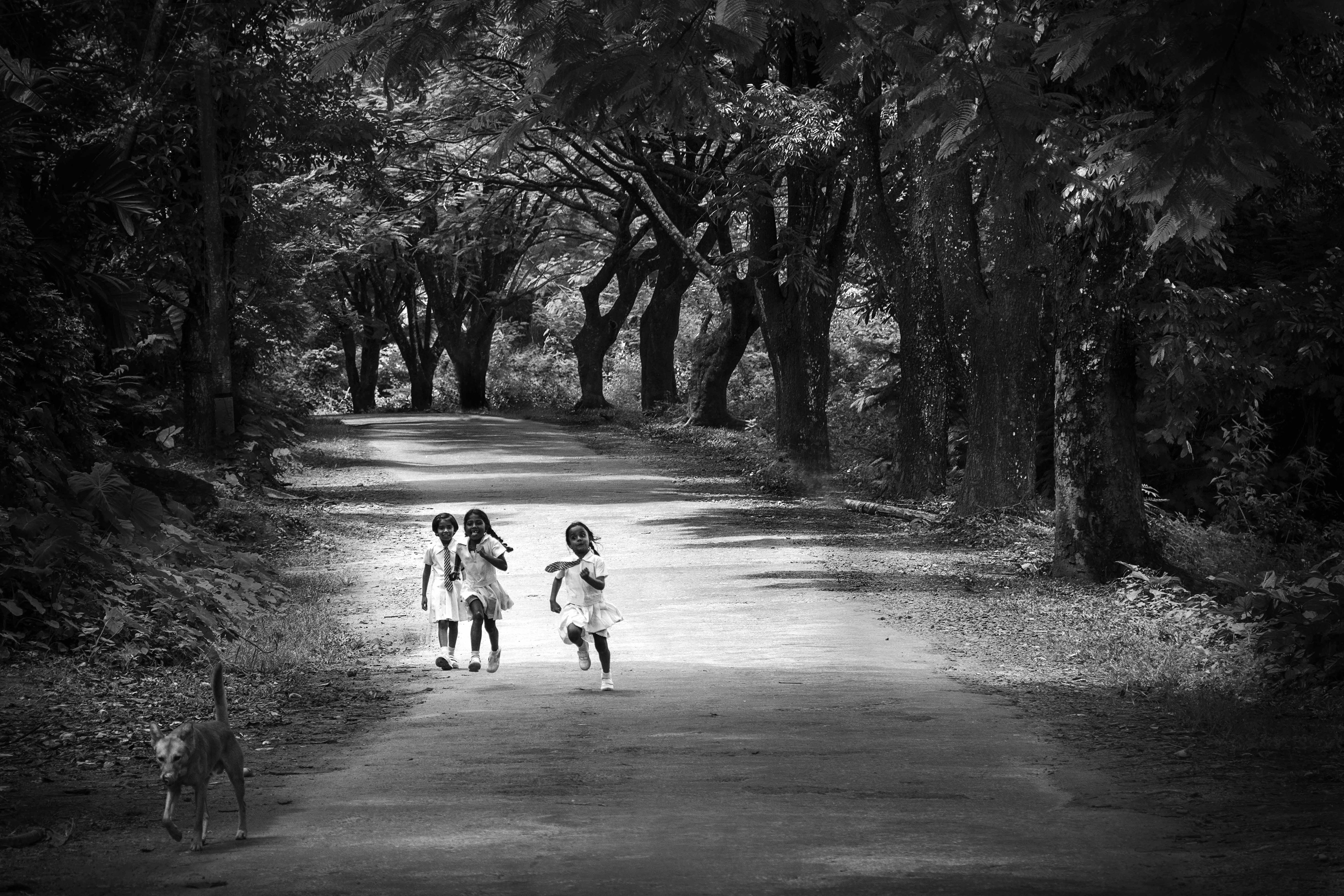 The school run | Kandy - Sri Lanka