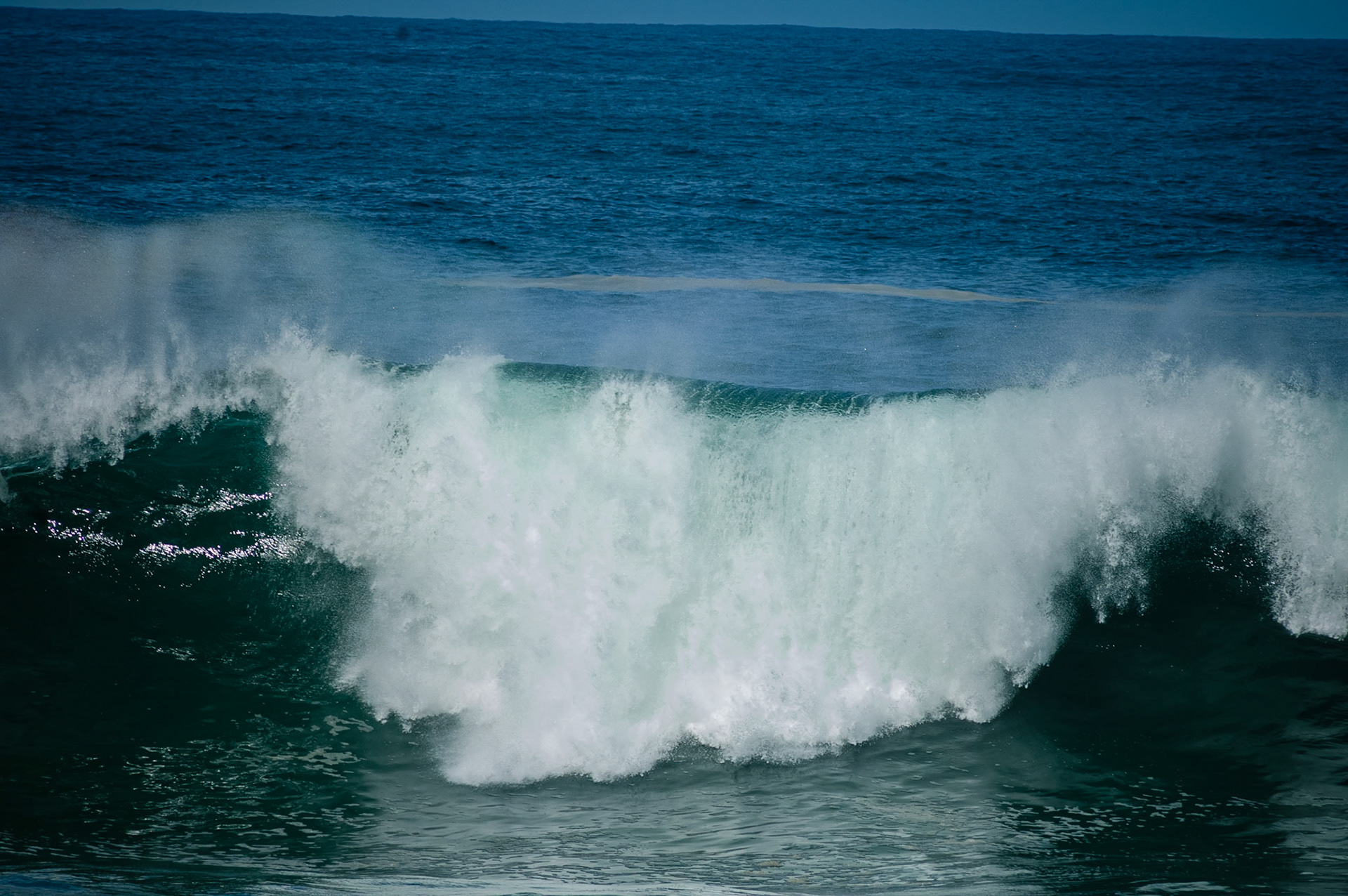DSC_0251