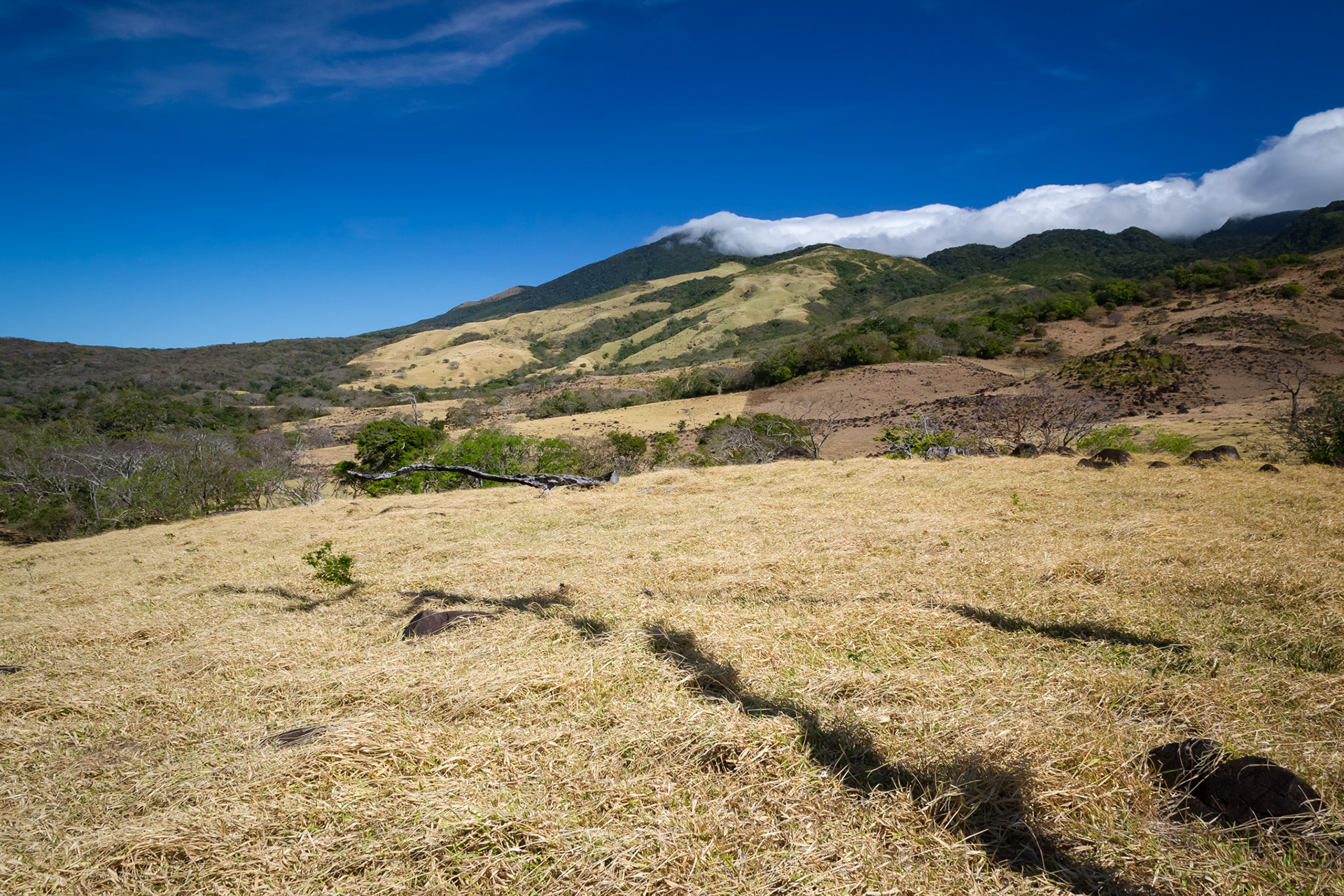 Entre Tenorio et Miravailles