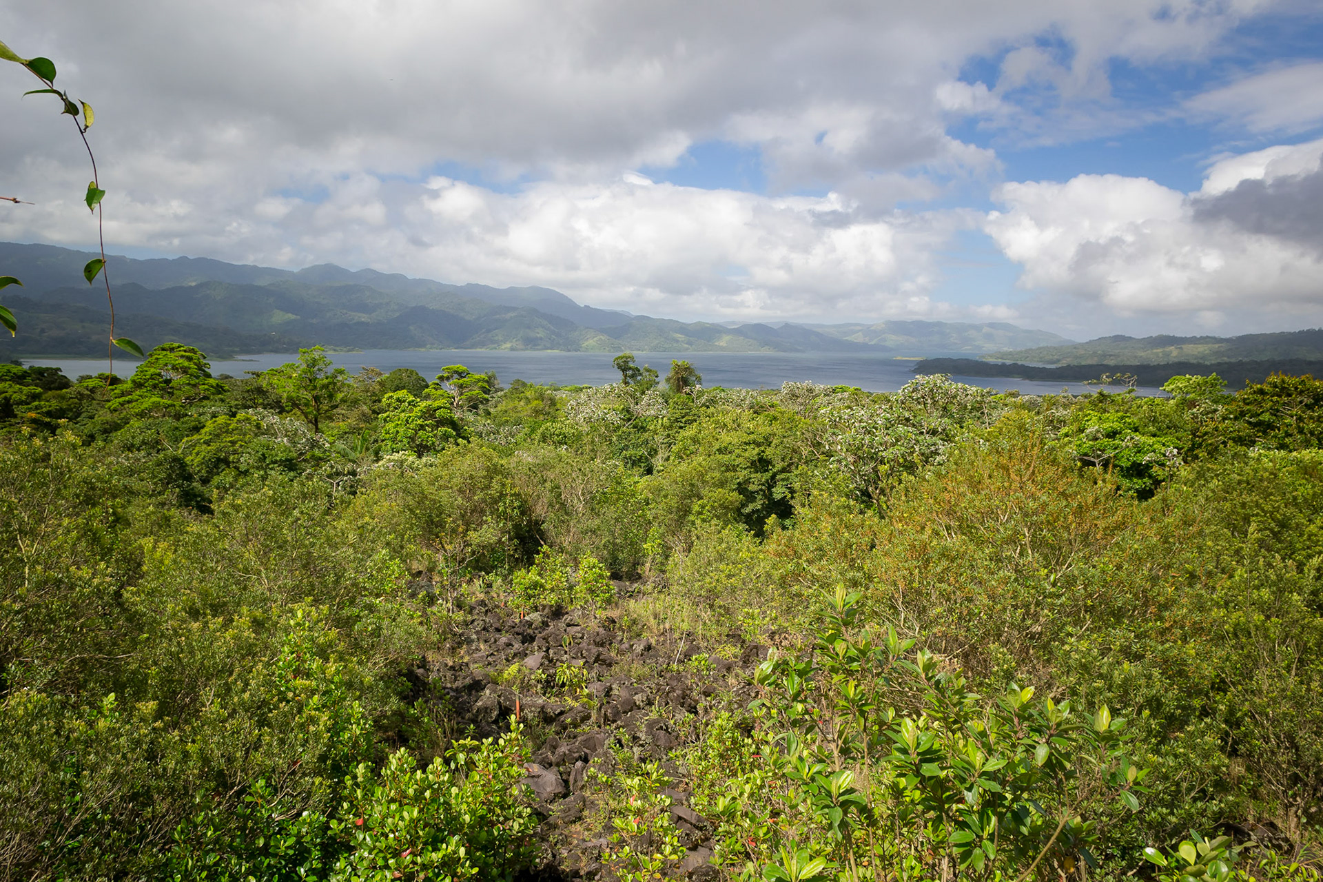 Parque National Volcan Arenal