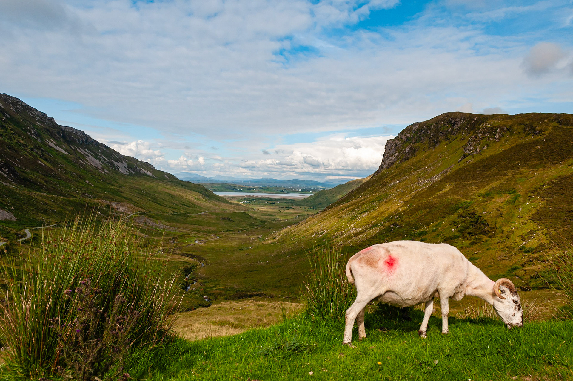 Maghera beach, County Donegal