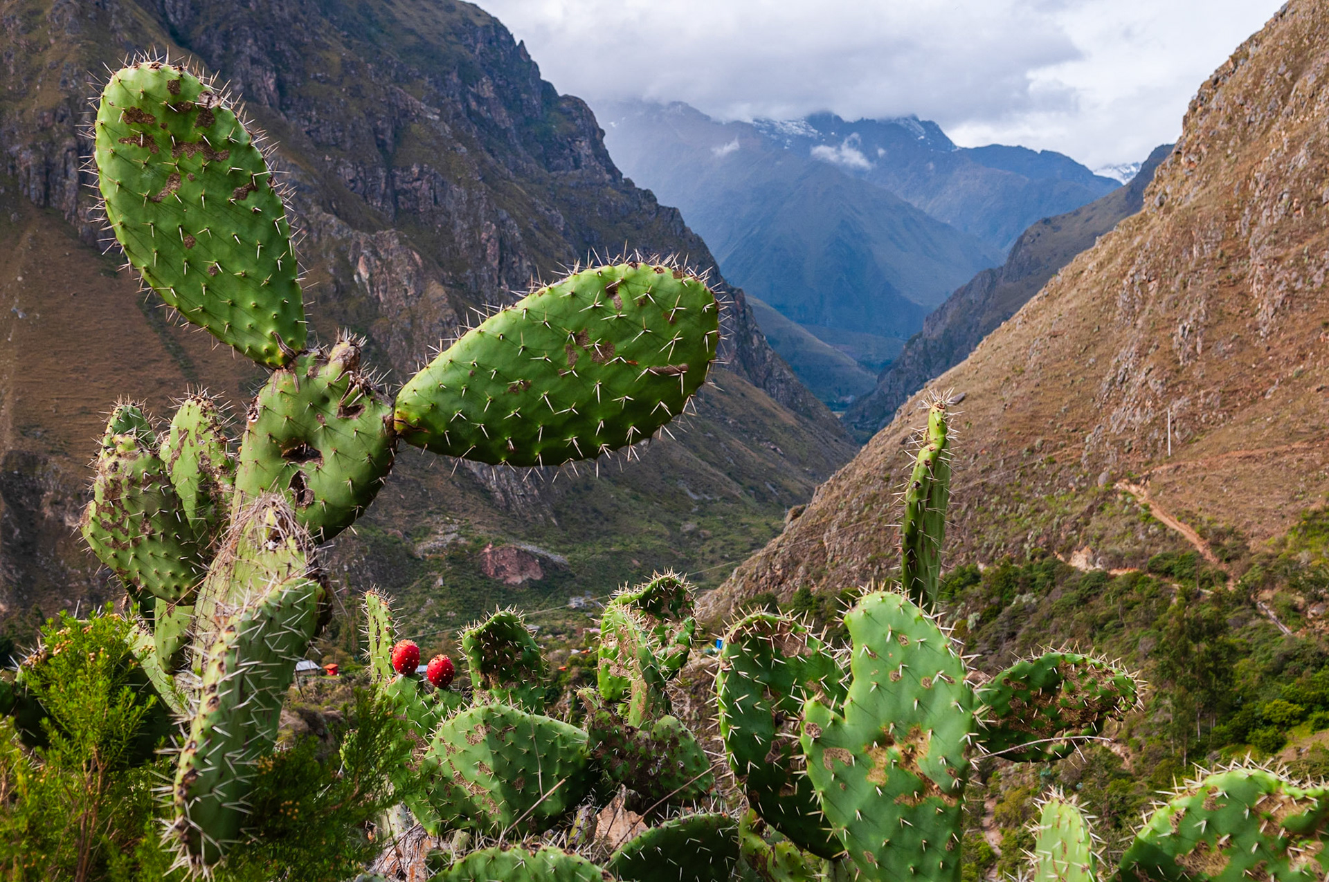 Salcantay Trek, Jour 3
