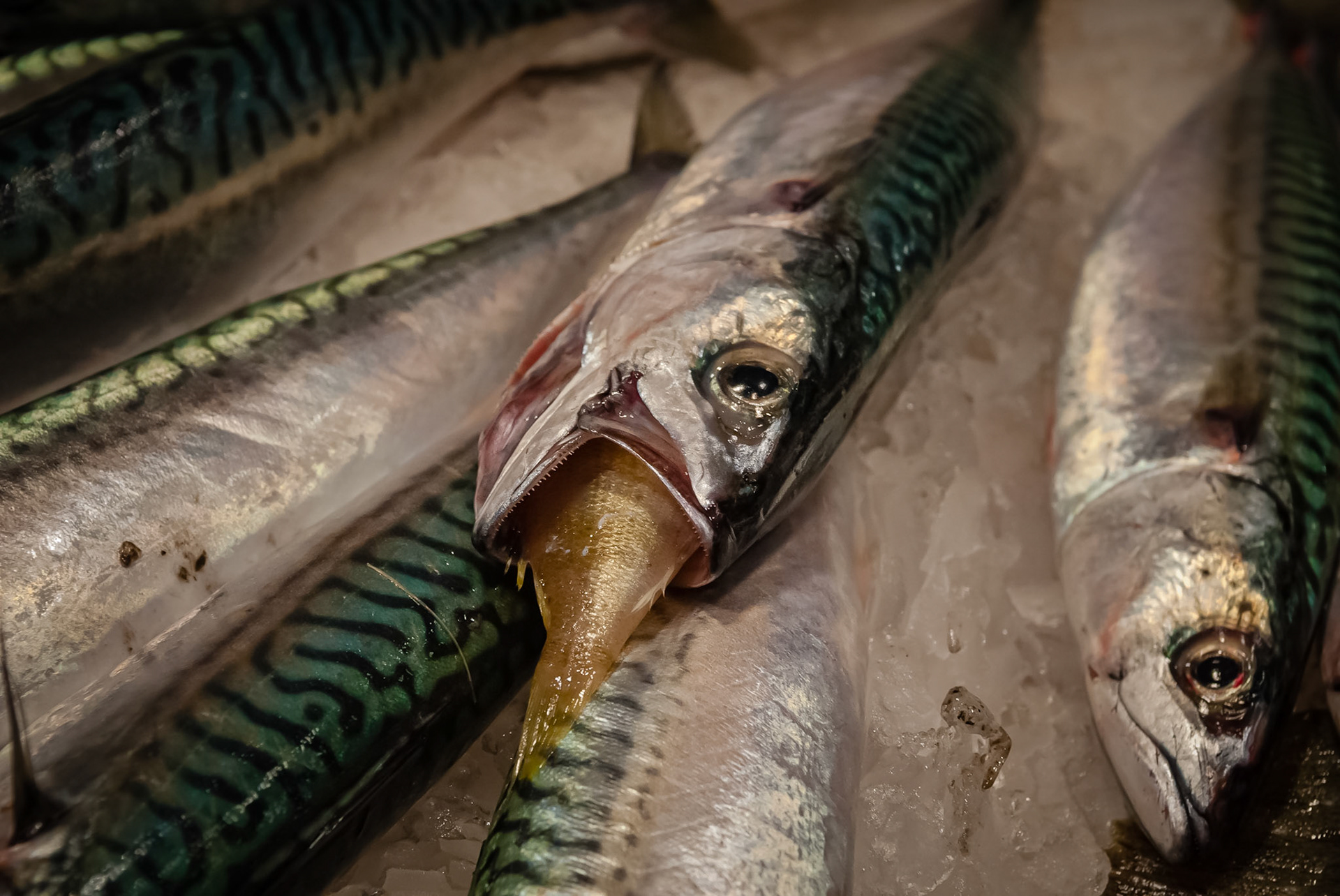 Mercat de la Boqueria, Barcelona