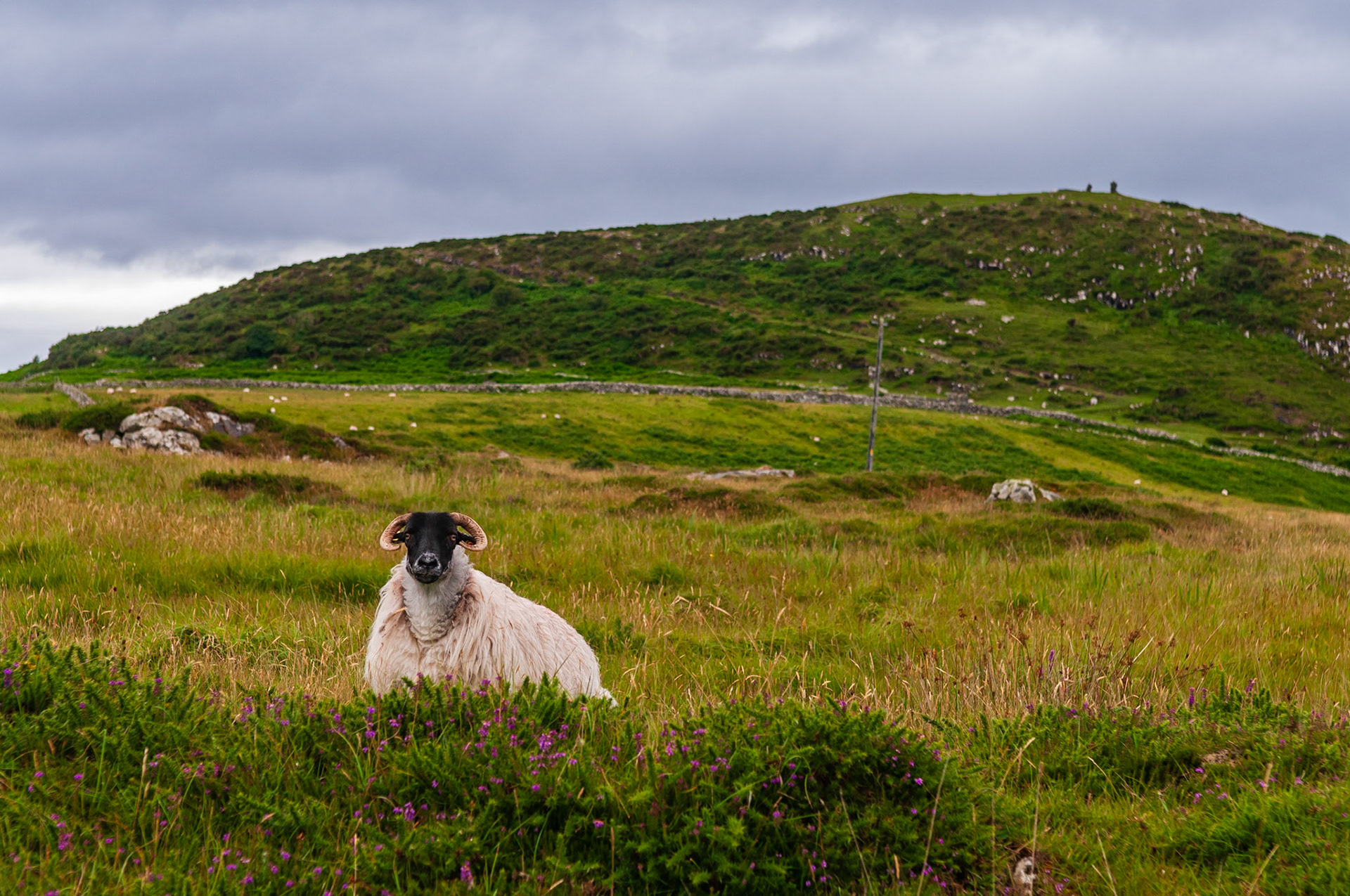 Bunowen Castle, County Galway
