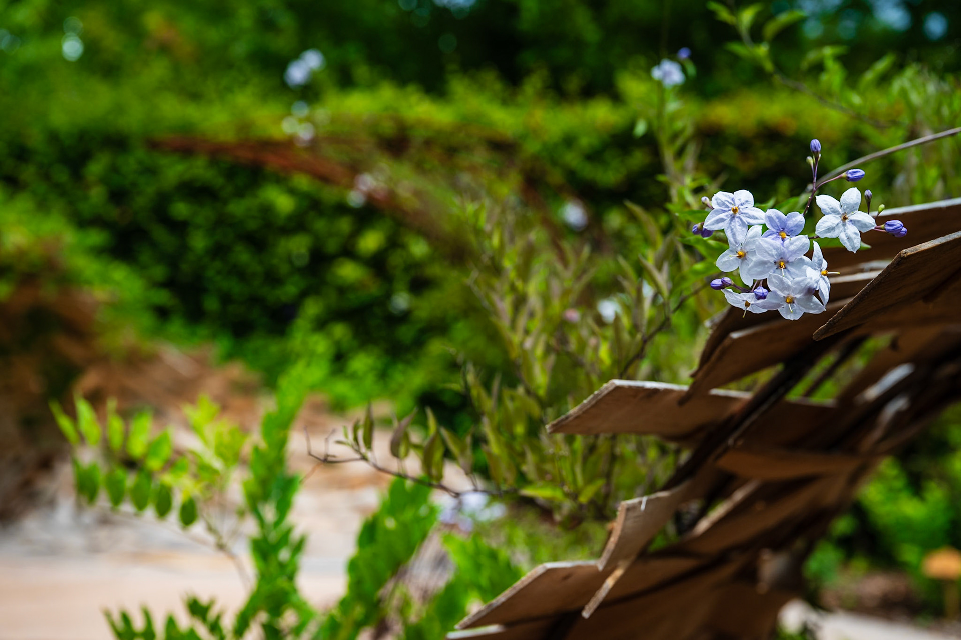 Domaine de Chaumont-sur-Loire