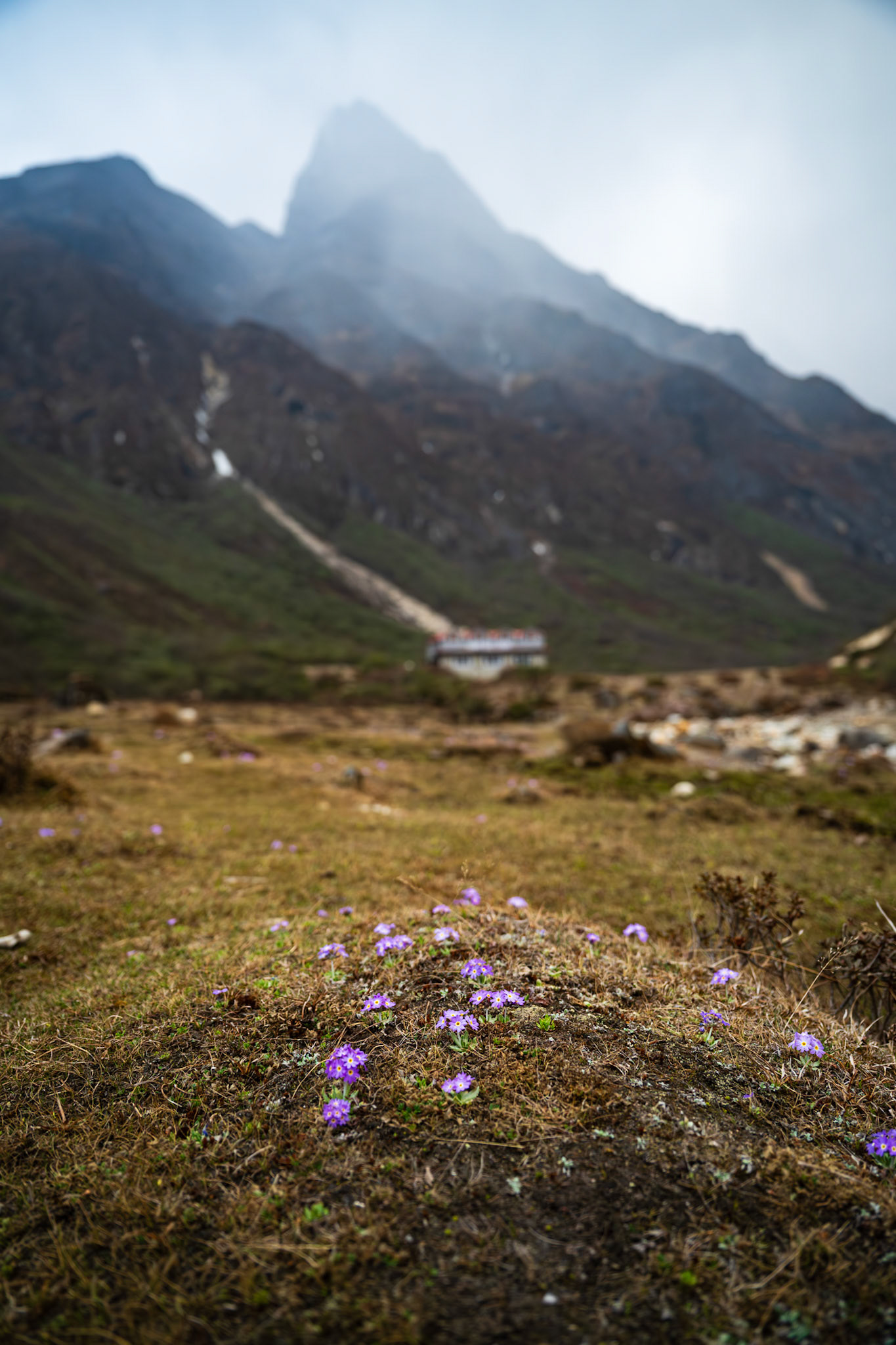 Day 4 - Namche Bazaar (3'446 m) to Dole (4'200 m)