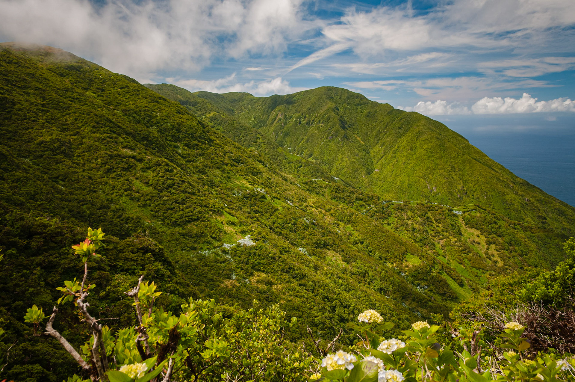 Trail Serra do Topo - Caldeira do Santo Cristo – Fajã dos Cubres, São Jorge