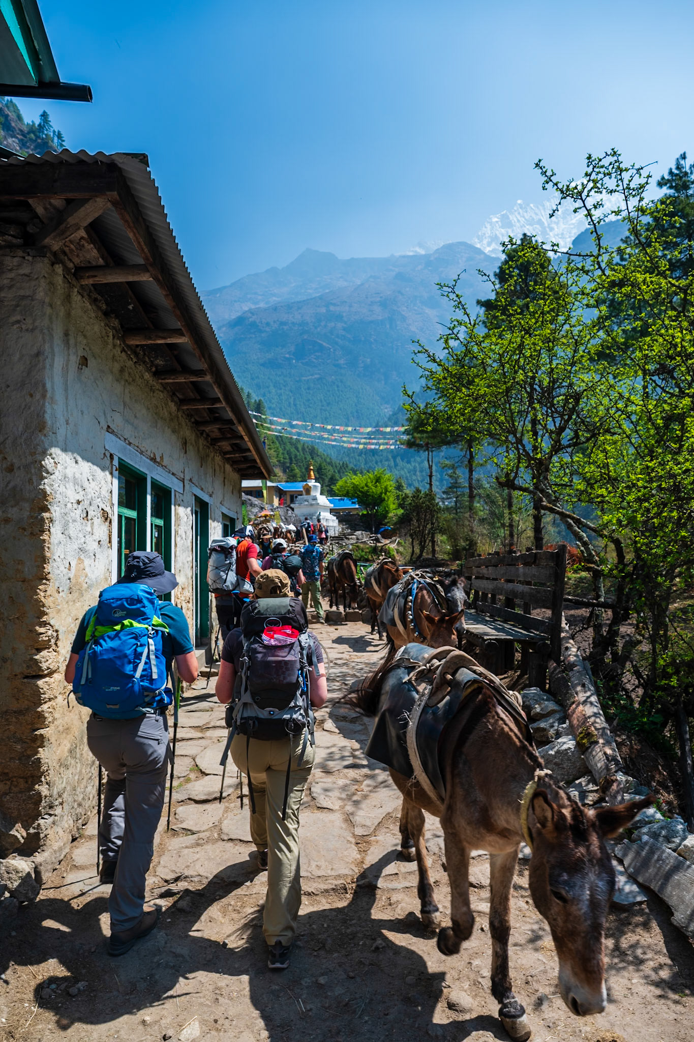 Day 2 - Phakding (2'610 m) to Namche Bazaar (3'446 m)