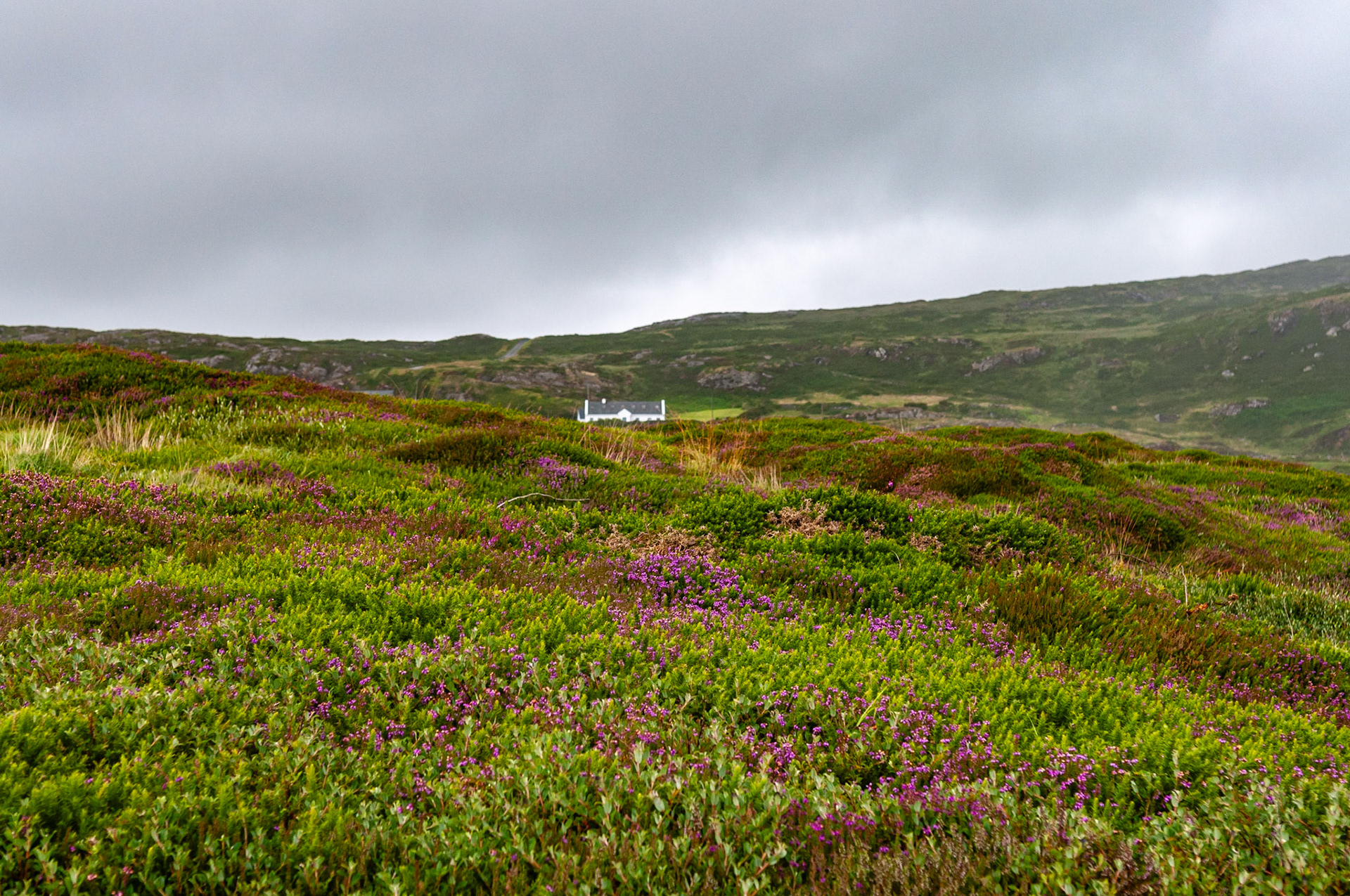 Ardmore House, Clifden, County Galway