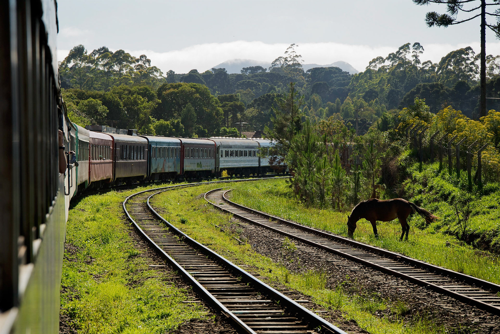 Ligne Ferriviaire Serra Verda