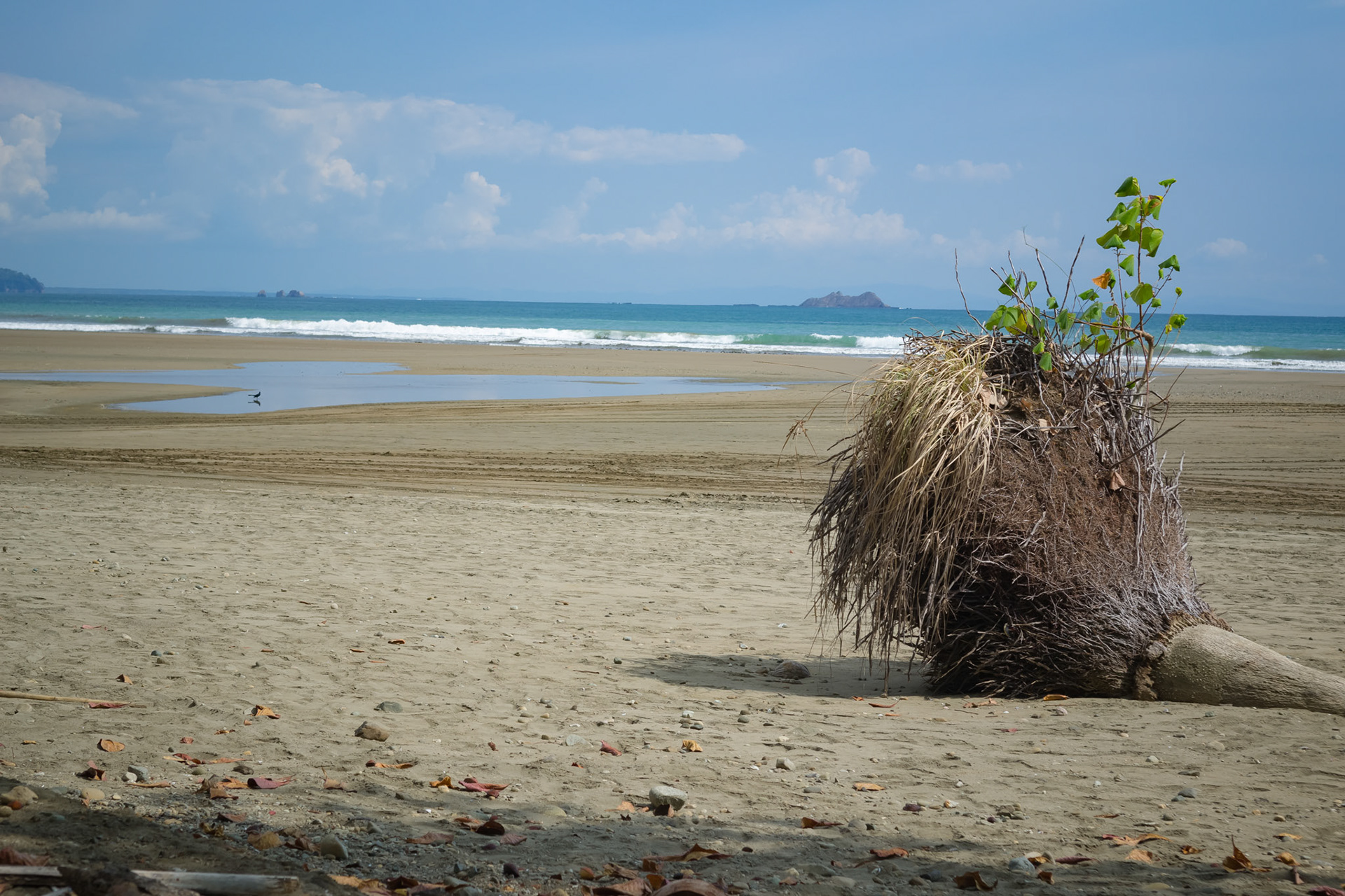 Parque National Marino Ballena