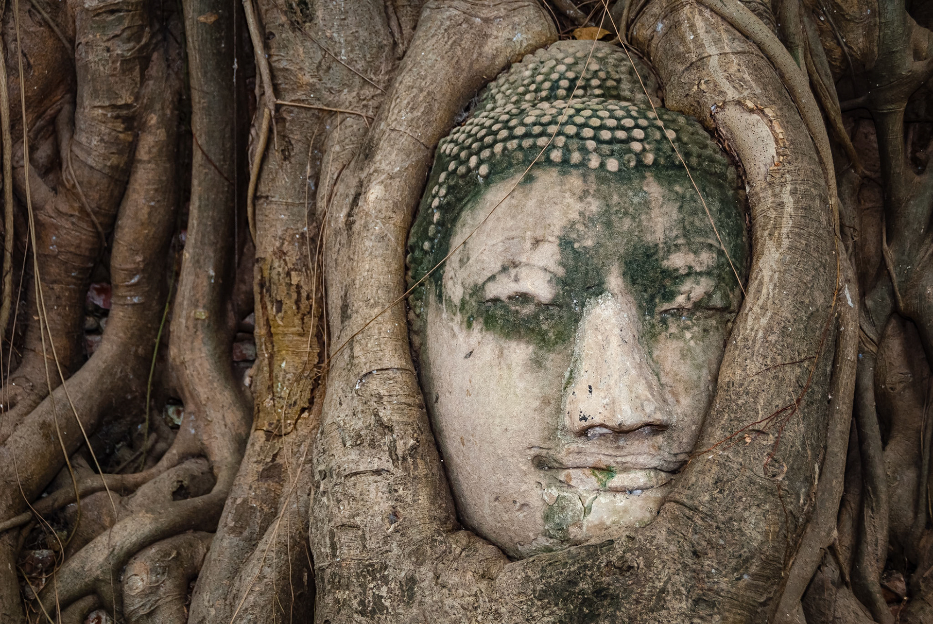 Wat Mahathat, Ayutthaya