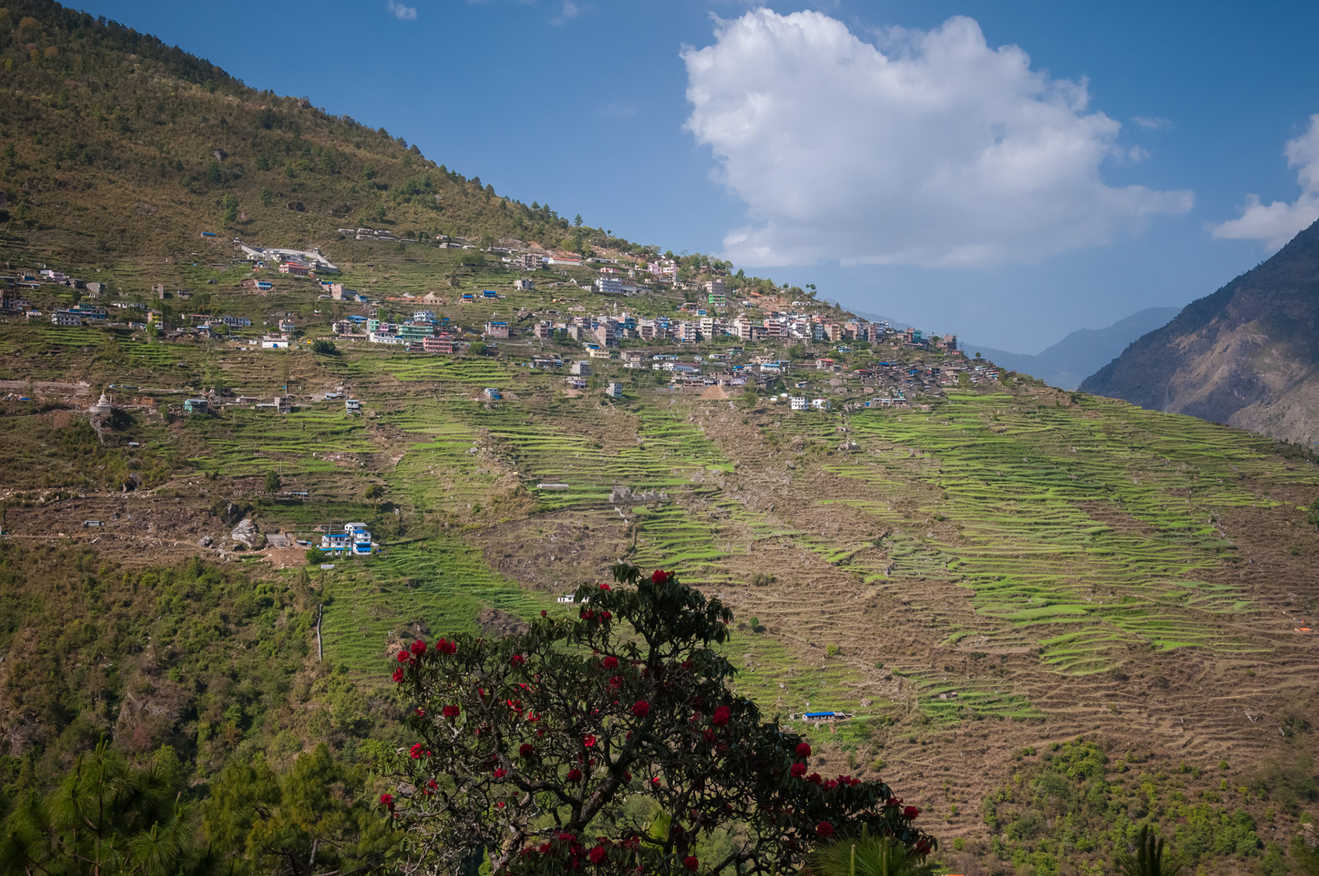 Entre Dhunche (1960m) et Thulo Syabru (2210m)