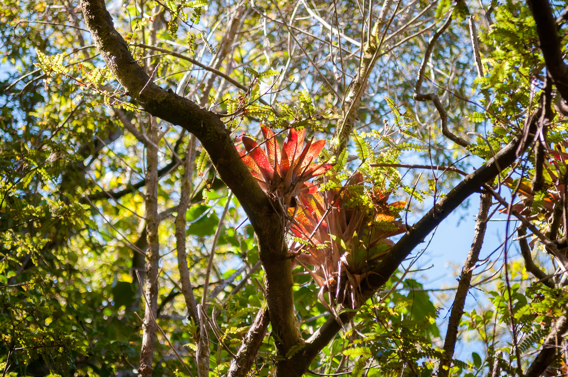 Parque National Volcàn Poas