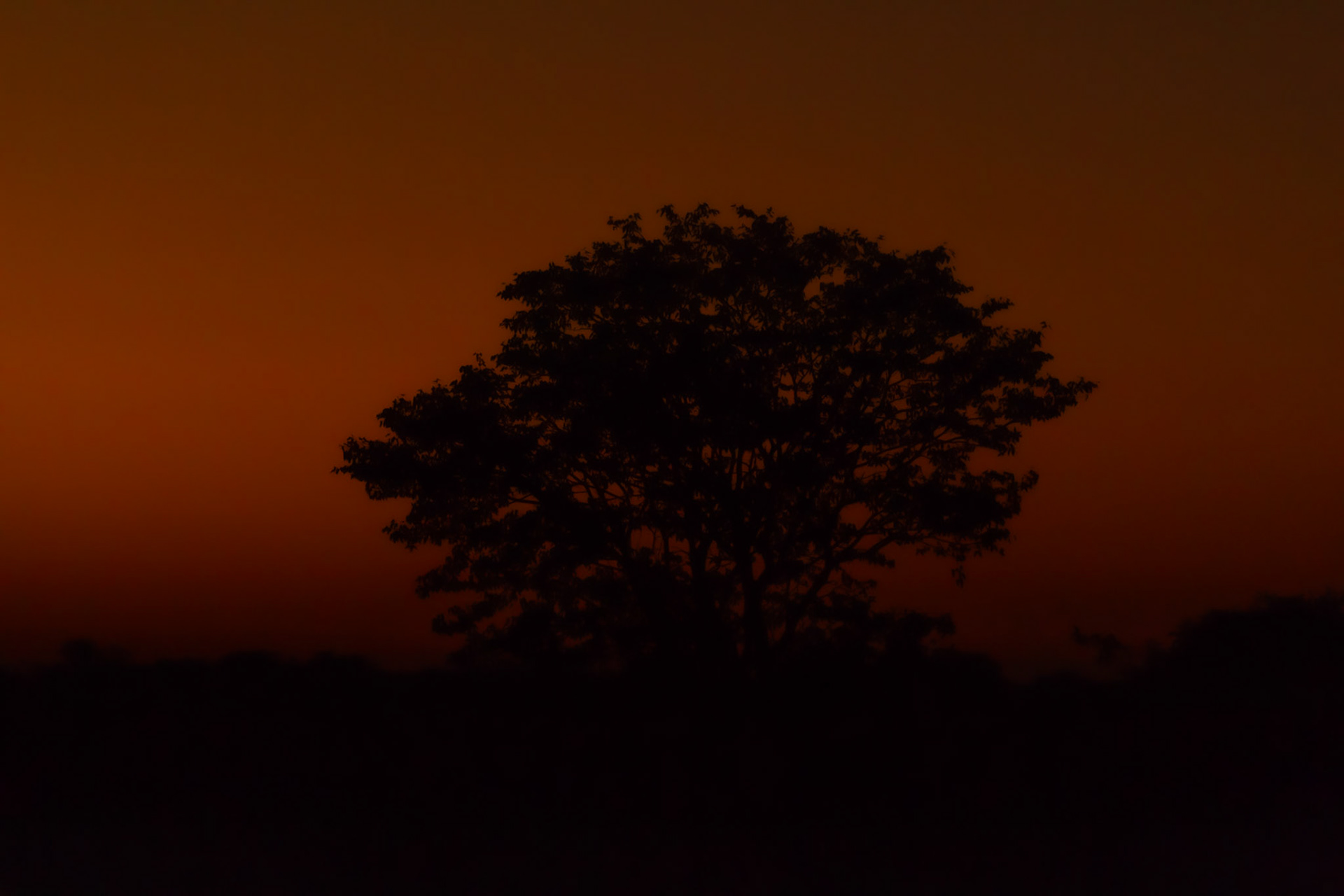 Etosha National Park