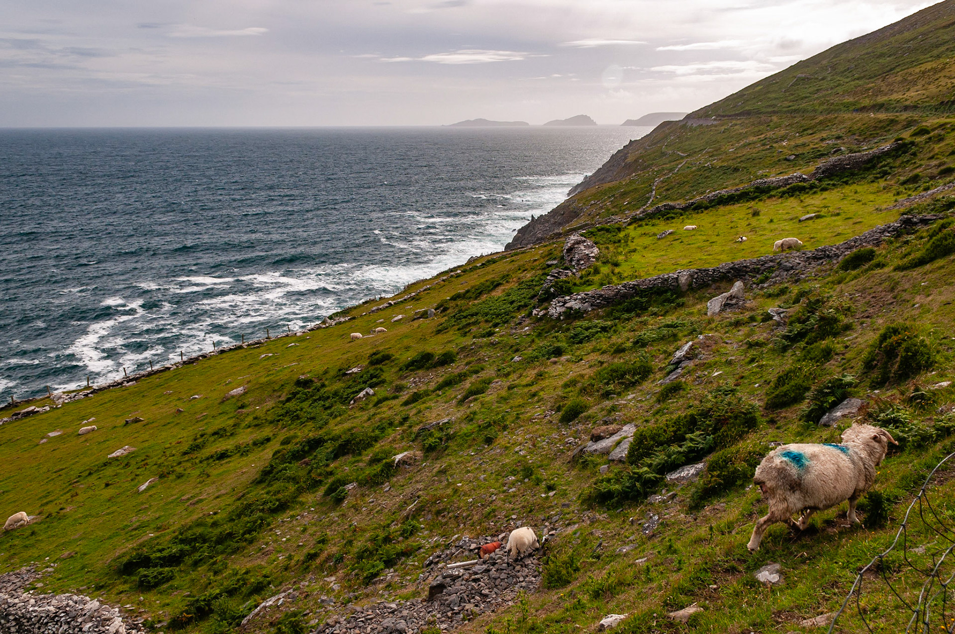 Slea Head Road, County Kerry