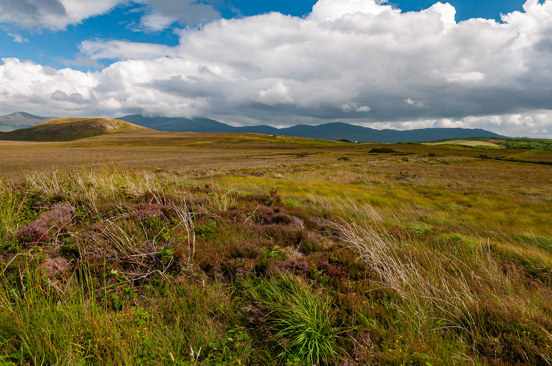 Ballycroy National Parc, County Mayo
