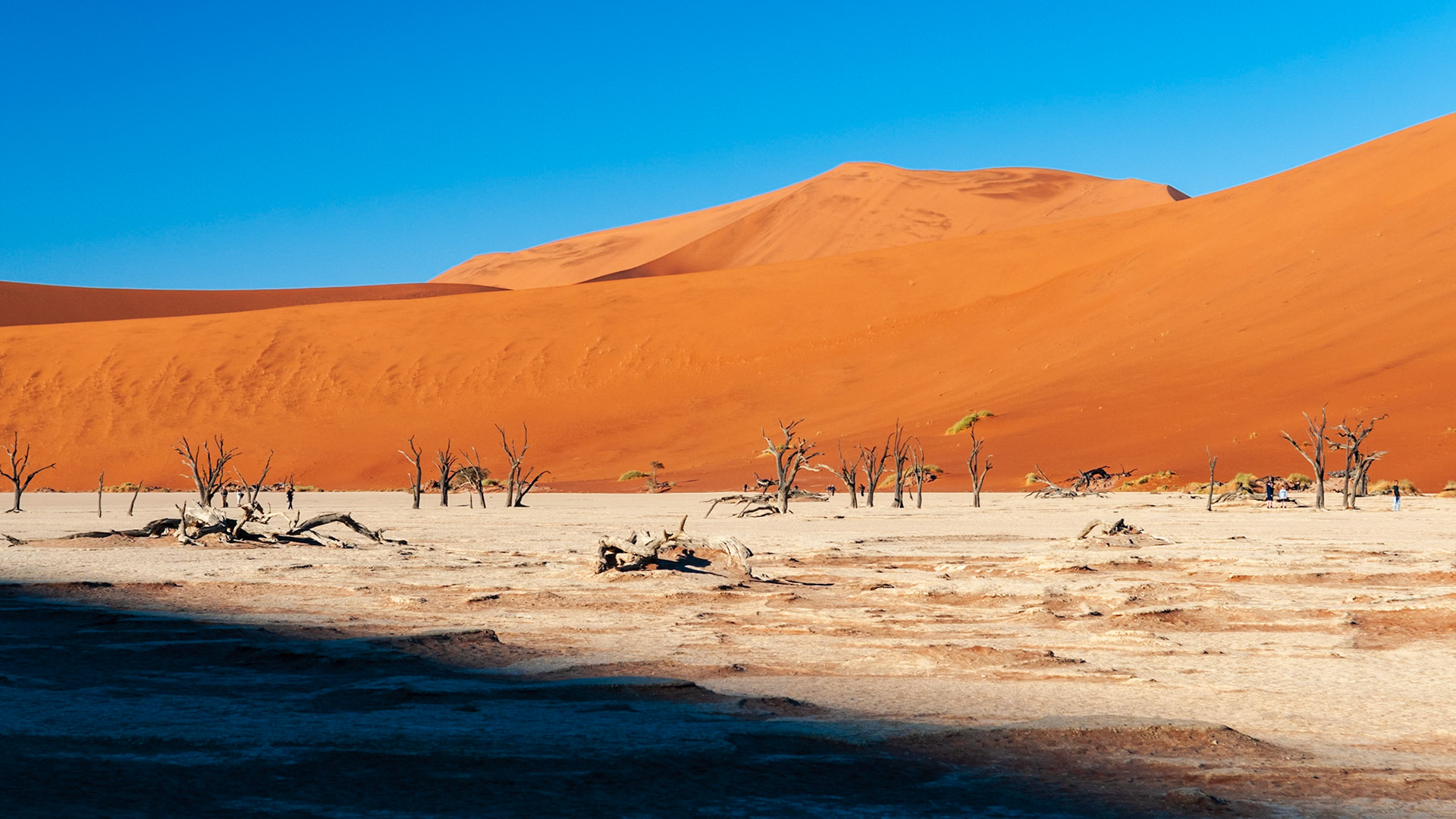 Dead Vlei, Sossusvlei