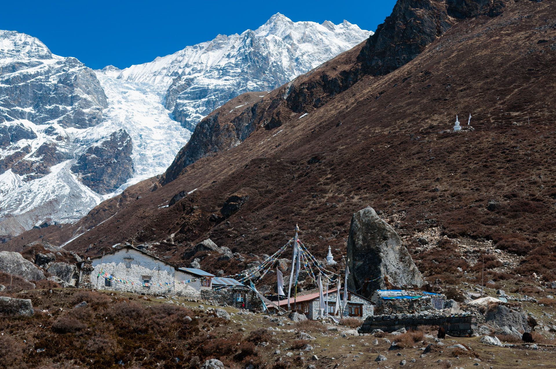Entre Langtang (3430m) et Kyanjin Gumba (3830m)