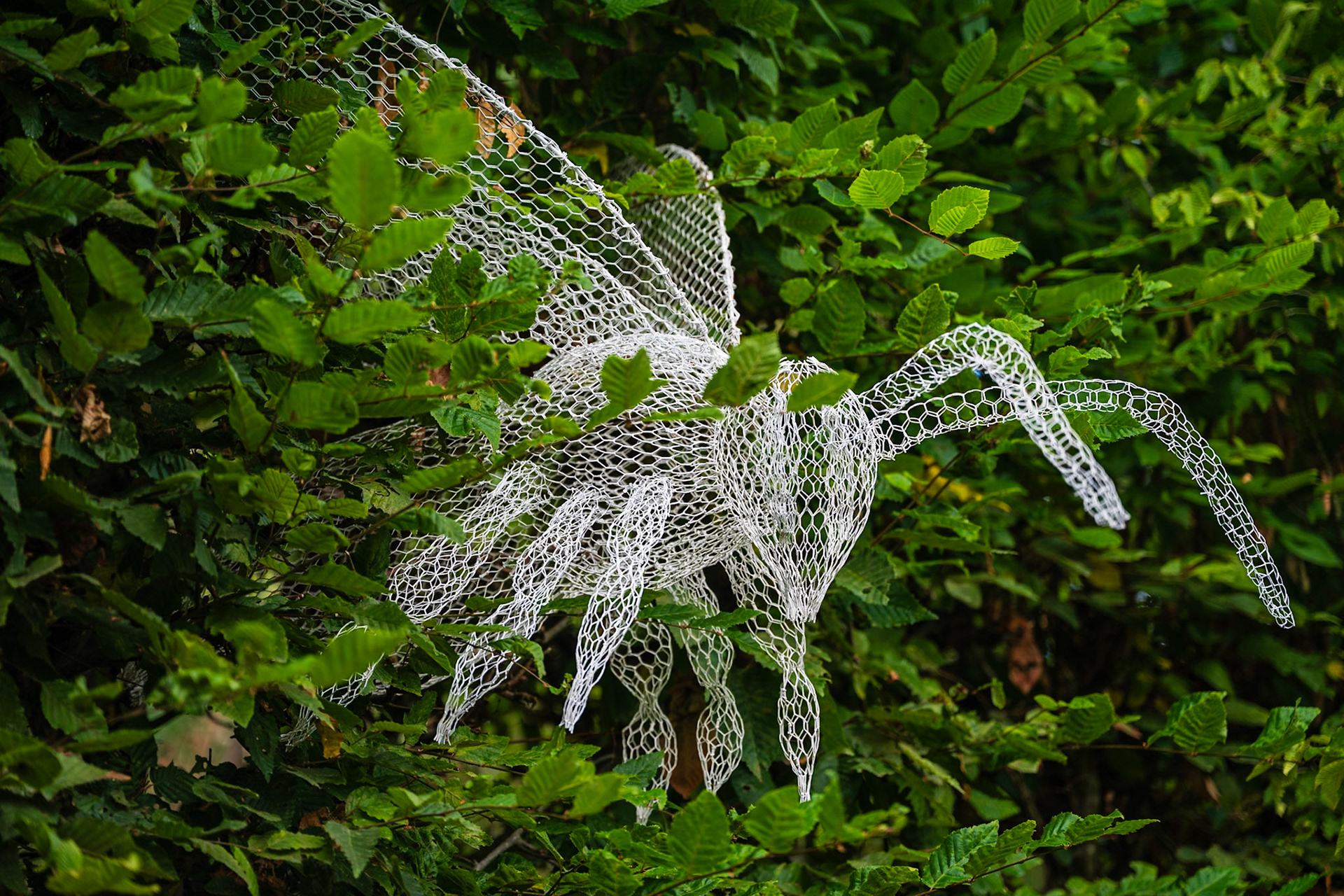 Domaine de Chaumont-sur-Loire