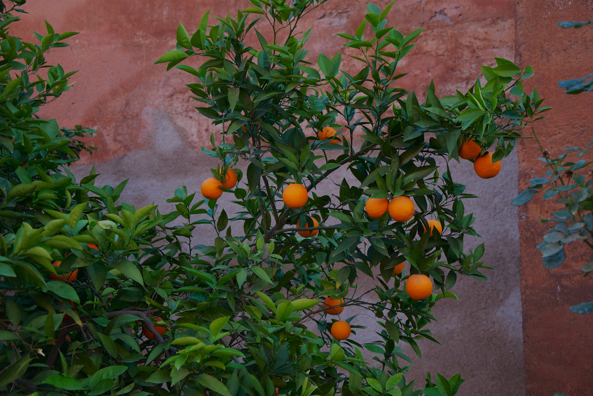 Tombes Sâadiennes, Marrakech