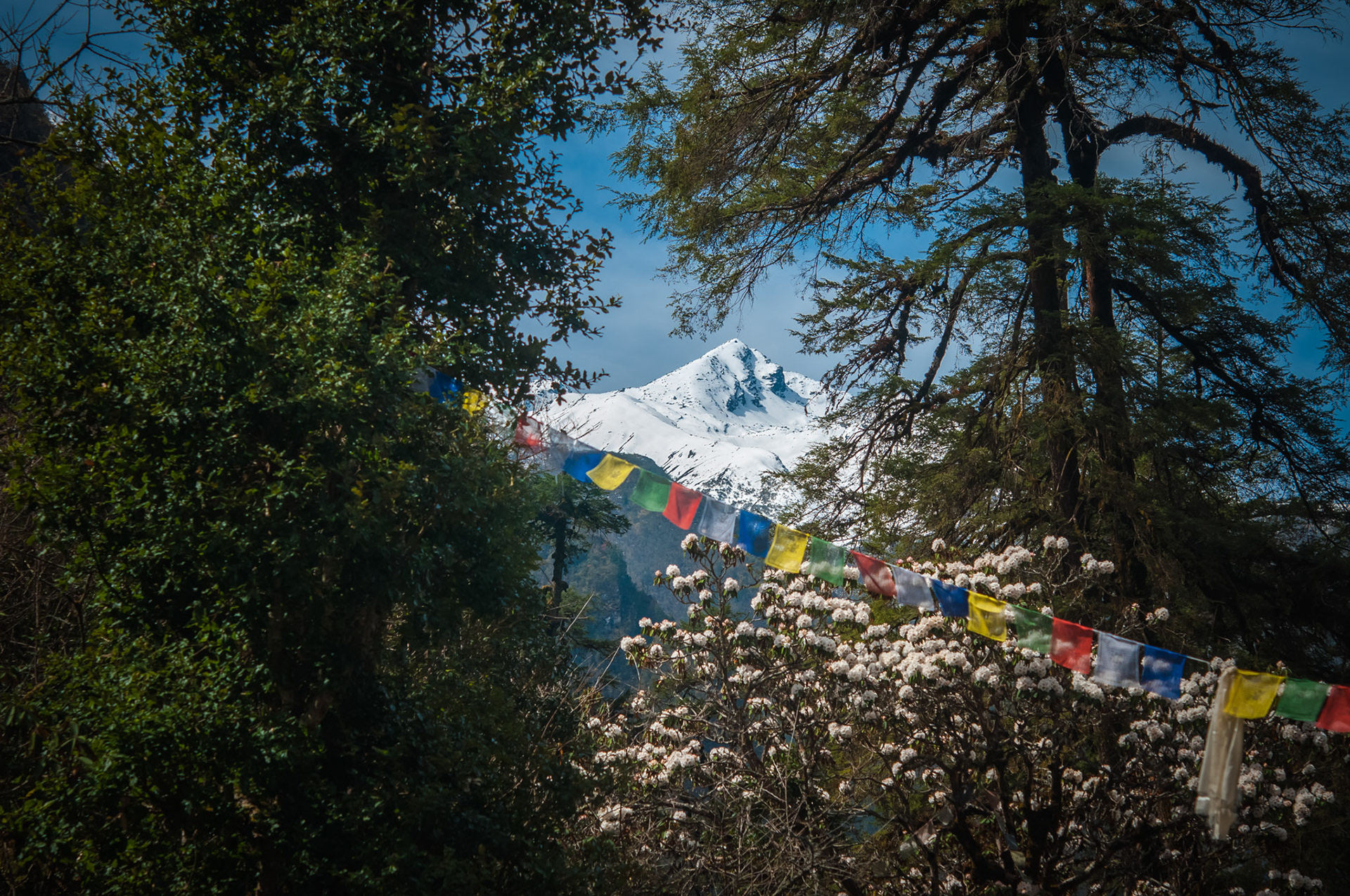 Entre Lama Hotel (2410m) et Langtang (3430m)