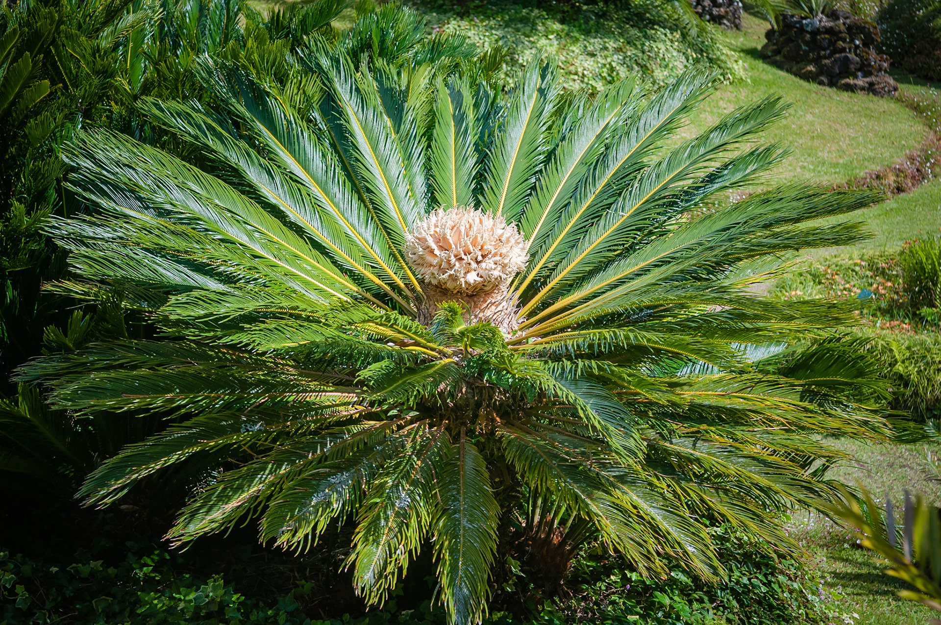 Parc Terra Nostra, Furnas, São Miguel