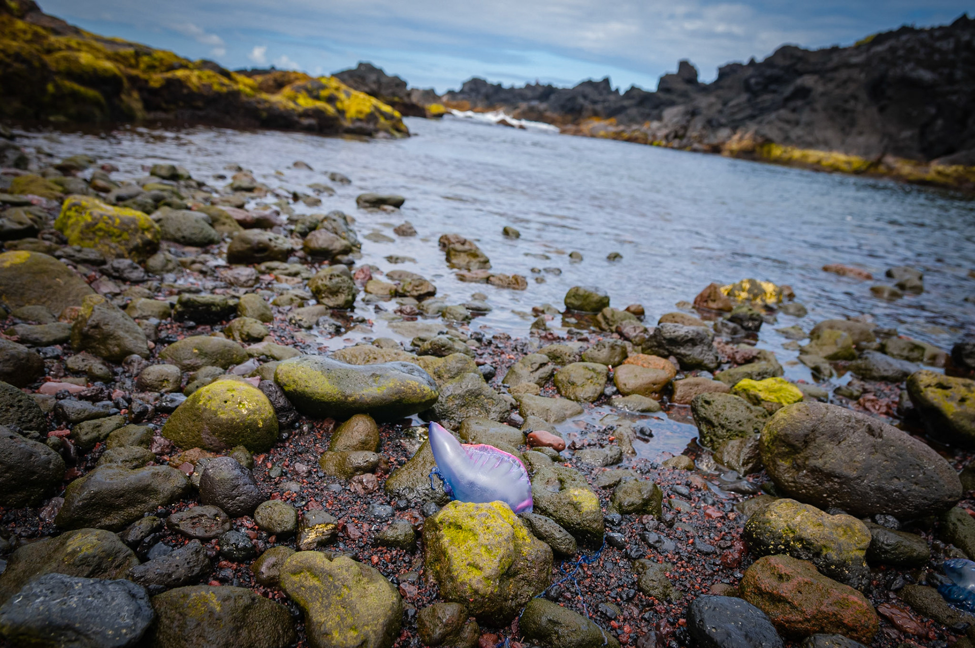 Mosteiros, São Miguel