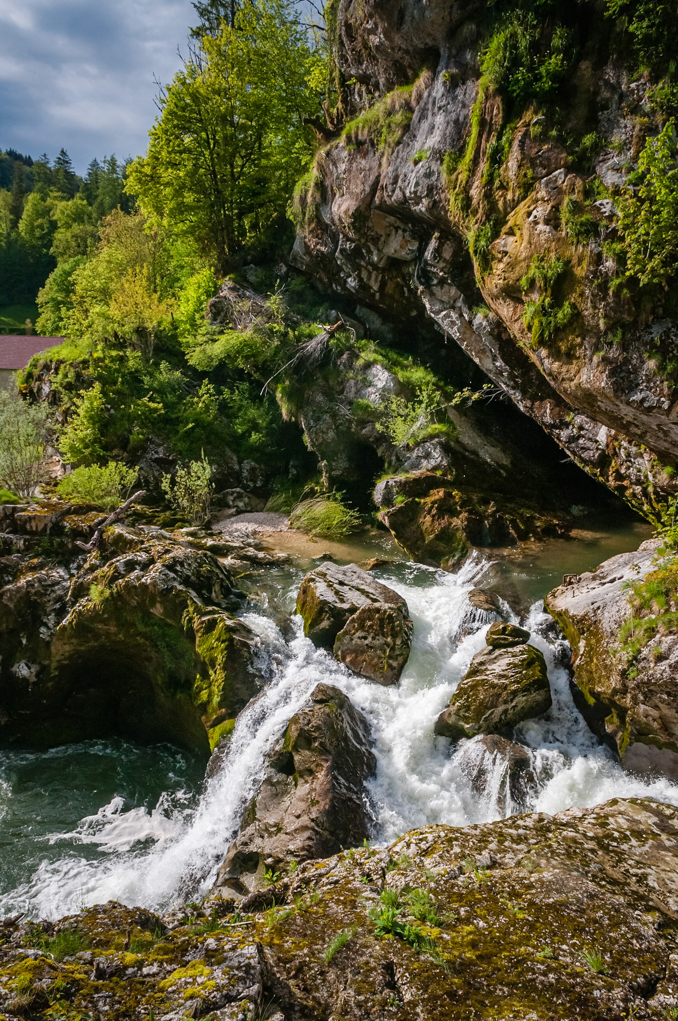Les pertes de l'Ain, France