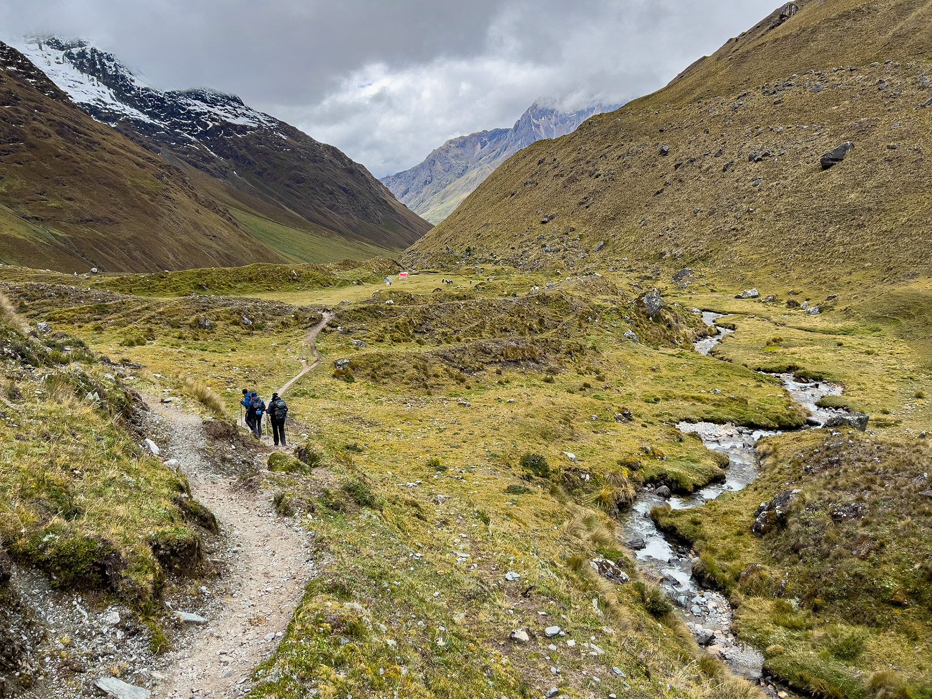 Salcantay Trek, Jour 2