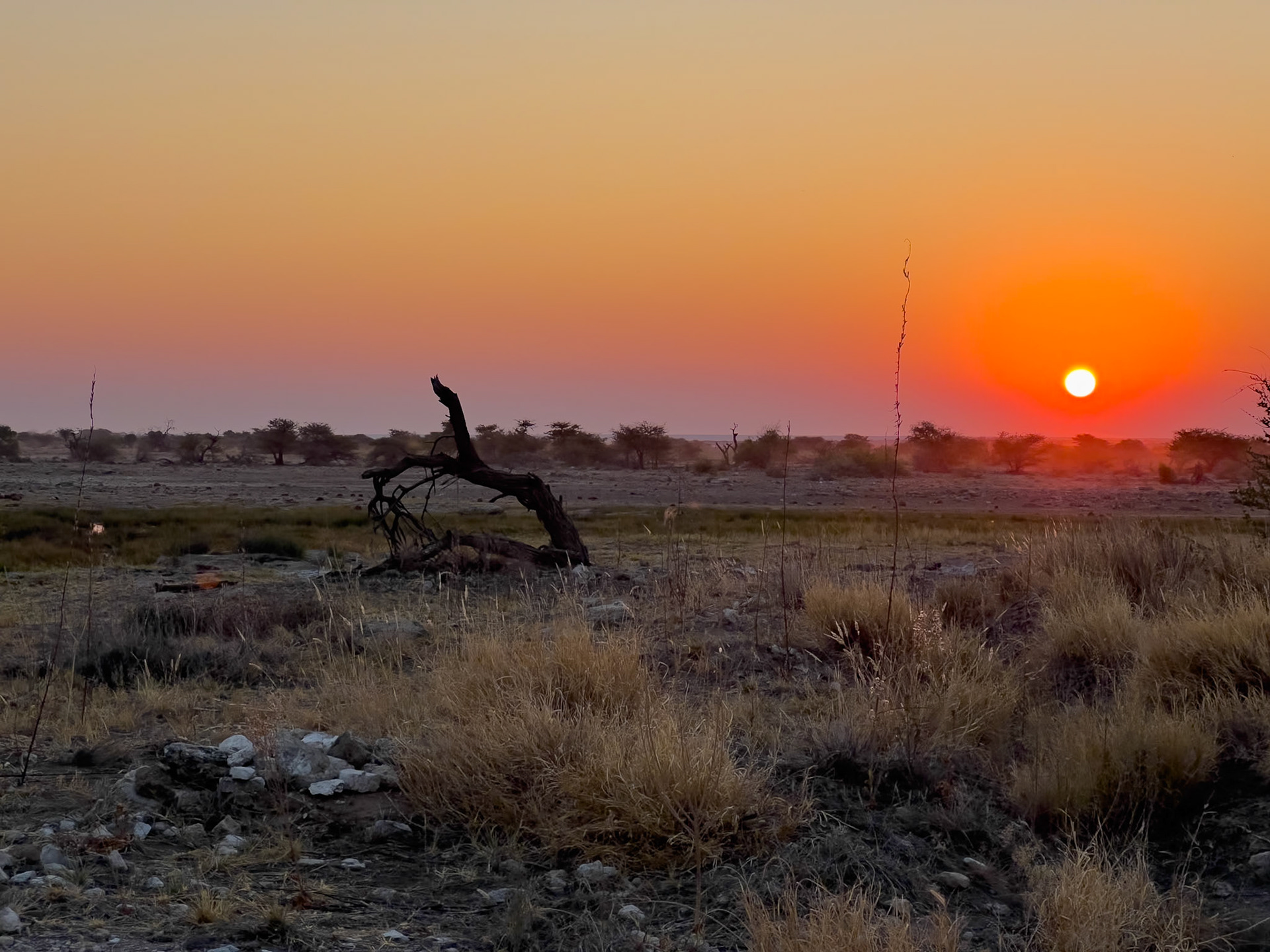 Namutoni, Etosha Park