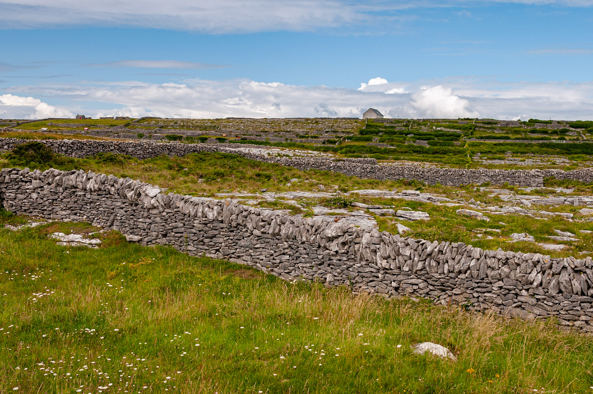 Aaran Island, County Clare