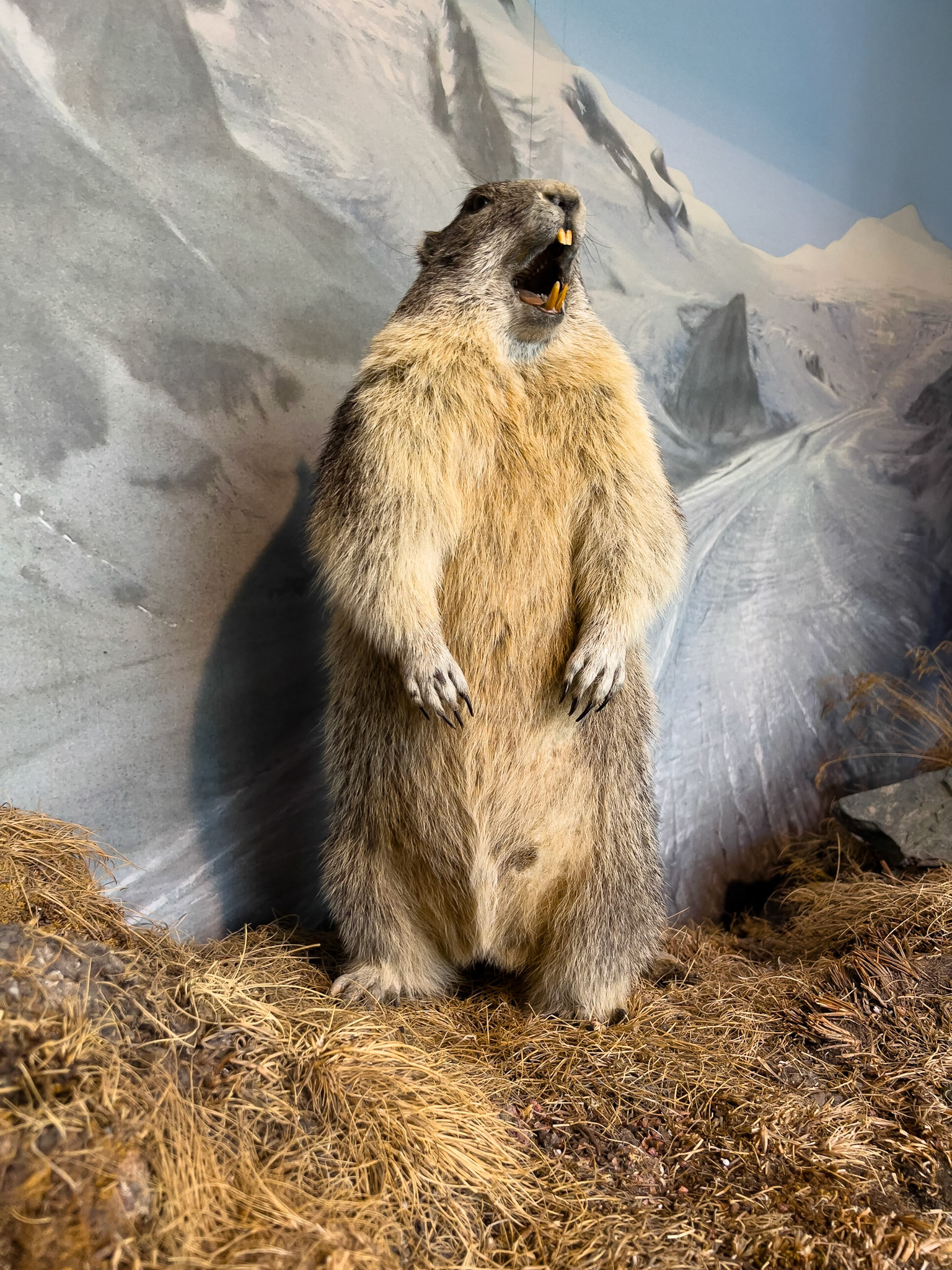 Kaiser-Franz-Josefs-Höhe, Grossglockner, Autriche