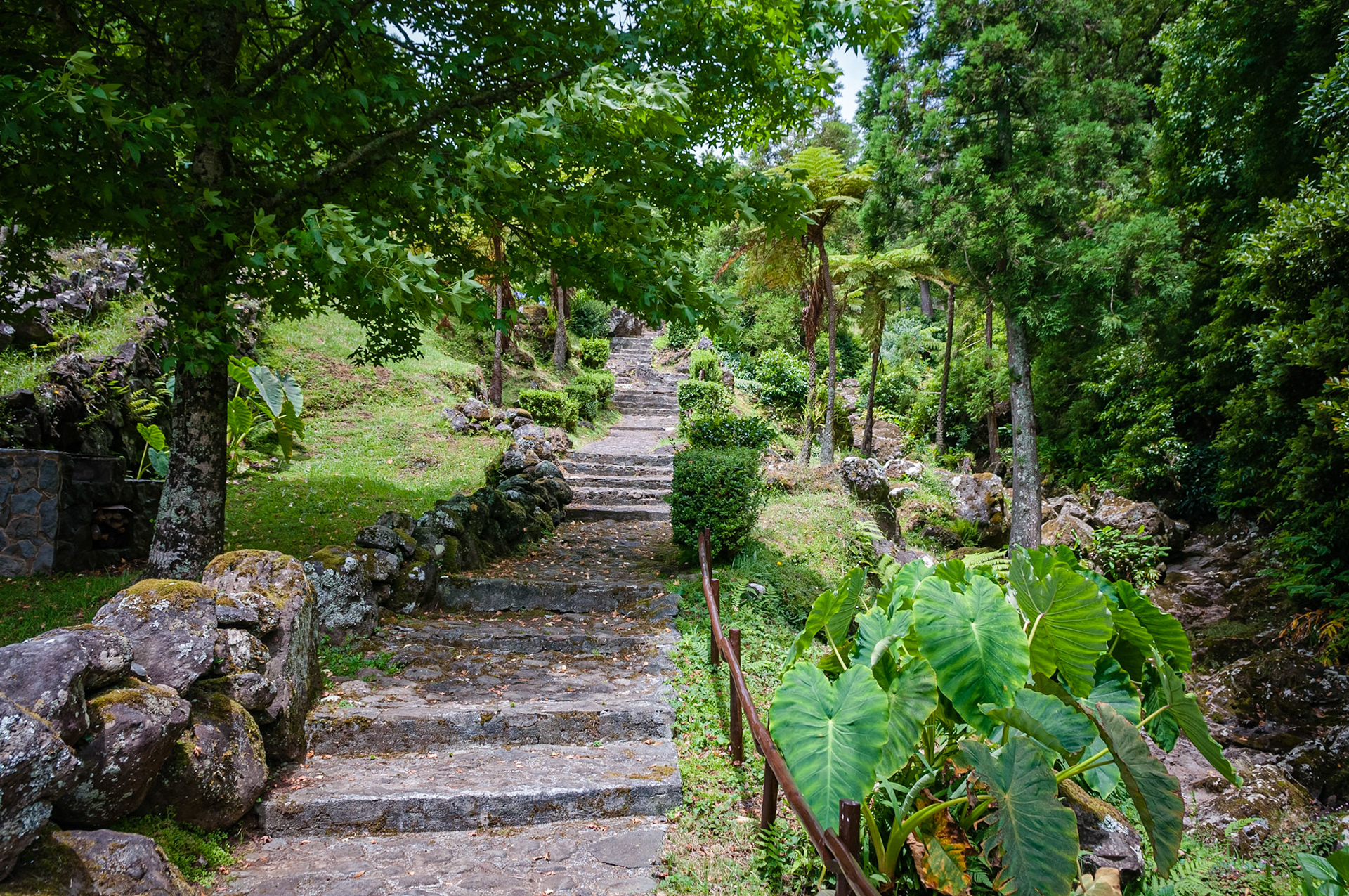 Reserva Florestal de Recreio da Silveira, São Jorge