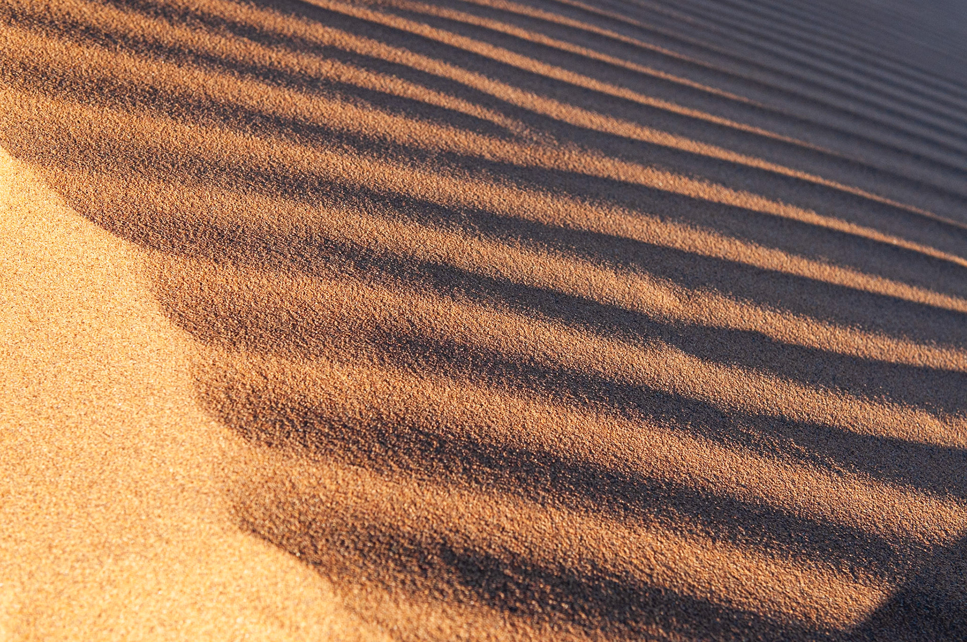 Dead Vlei, Sossusvlei